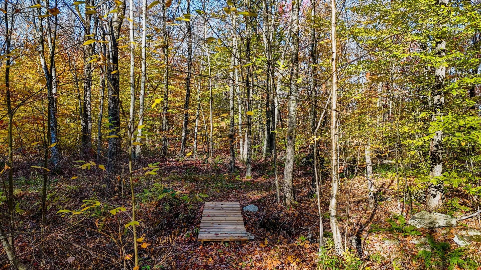 









91


Rue Meunier

,
Eastman,




QC
J0E1P0

