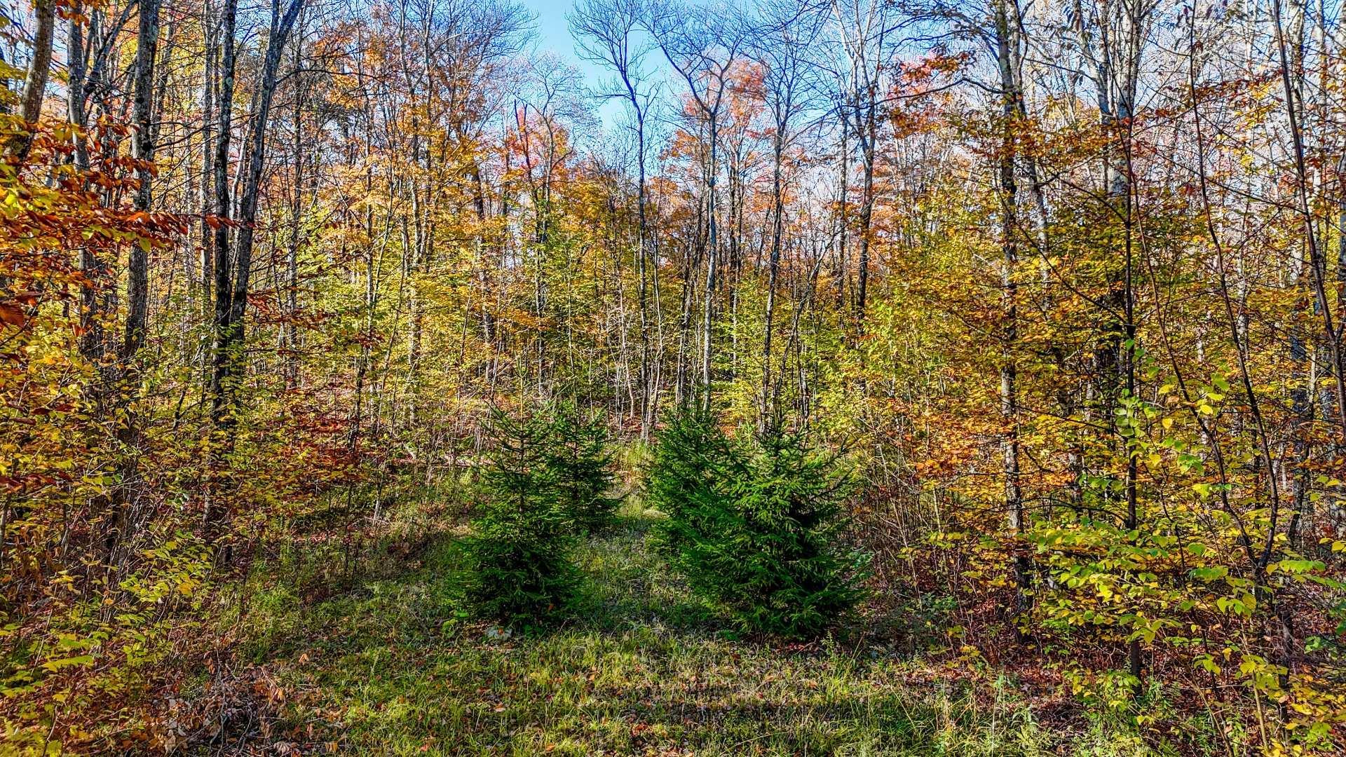 









91


Rue Meunier

,
Eastman,




QC
J0E1P0

