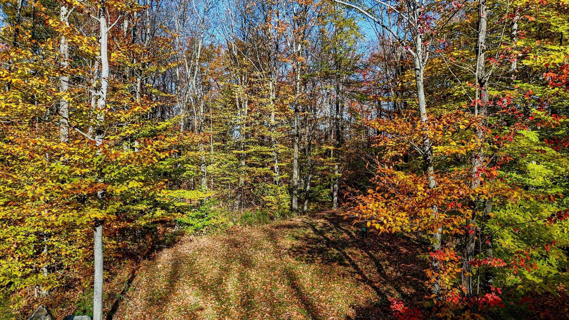 









91


Rue Meunier

,
Eastman,




QC
J0E1P0

