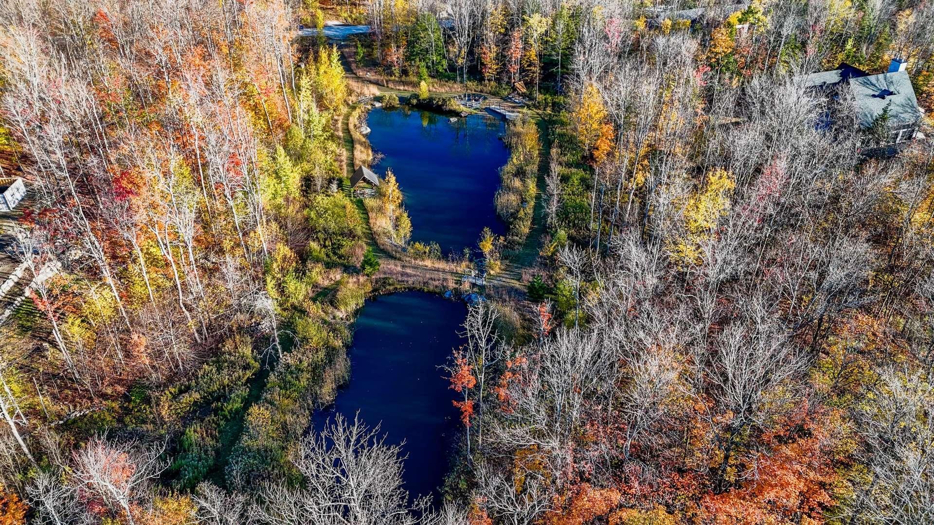 









91


Rue Meunier

,
Eastman,




QC
J0E1P0

