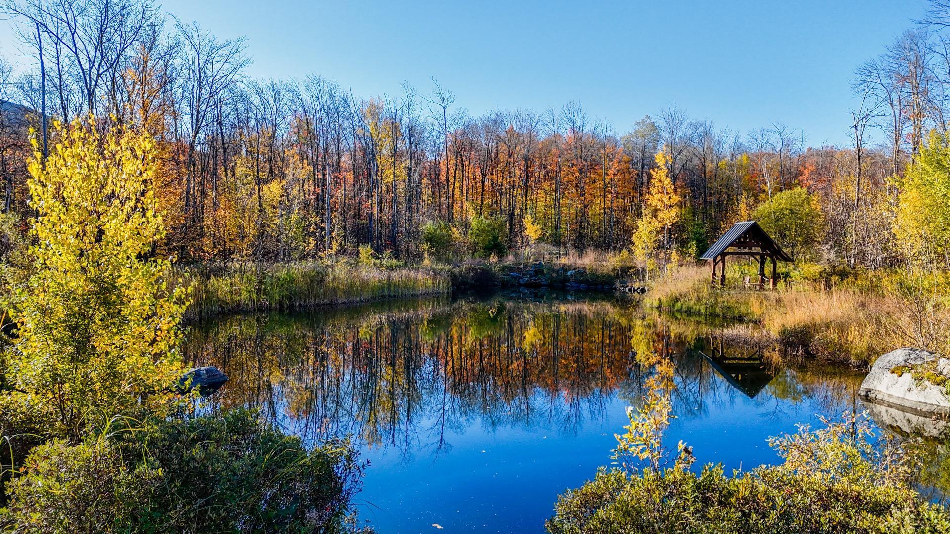 









91


Rue Meunier

,
Eastman,




QC
J0E1P0

