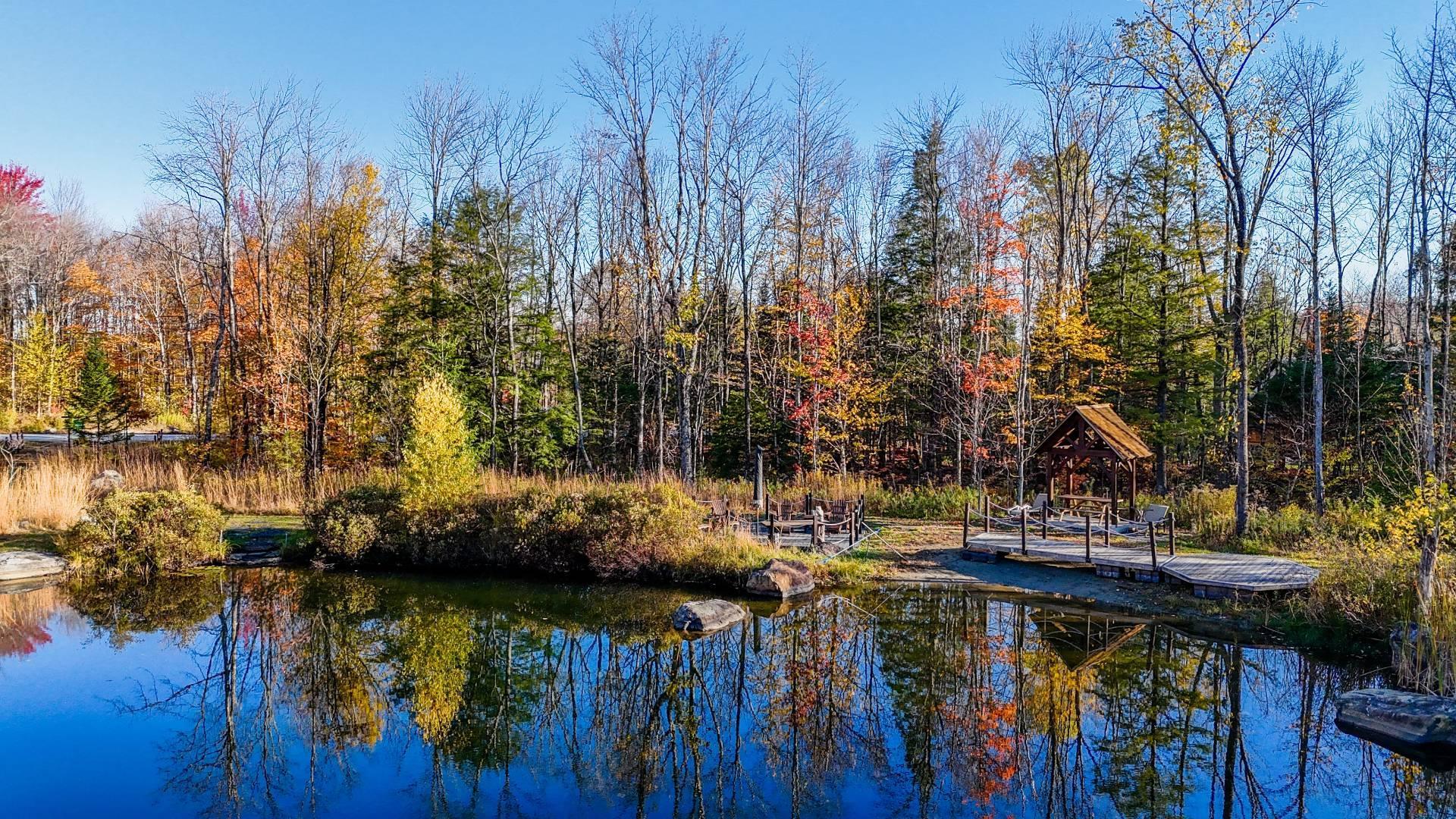 









91


Rue Meunier

,
Eastman,




QC
J0E1P0

