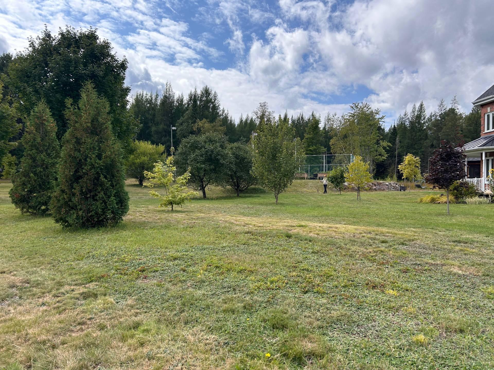 









1190


Route 349

,
Saint-Alexis-des-Monts,




QC
J0K1V0

