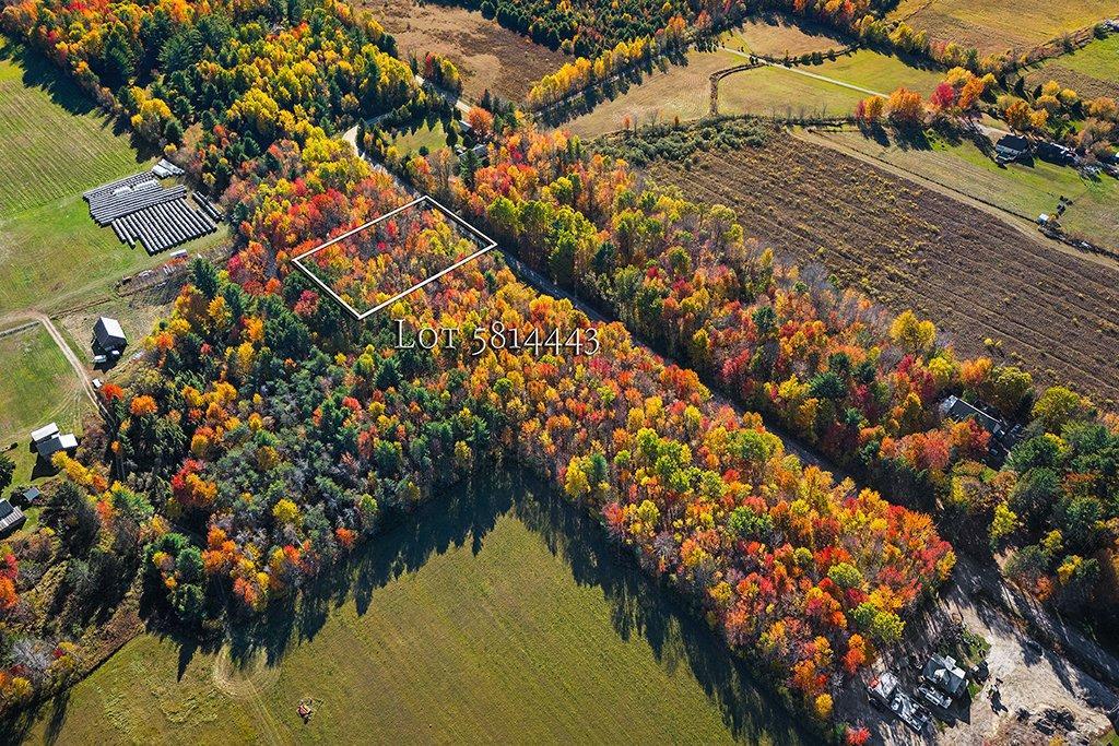 









716


Ch. Robinson

,
Pontiac,







QC
J0X1G0

