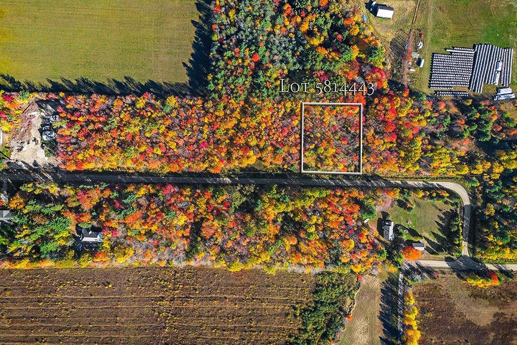 









716


Ch. Robinson

,
Pontiac,







QC
J0X1G0

