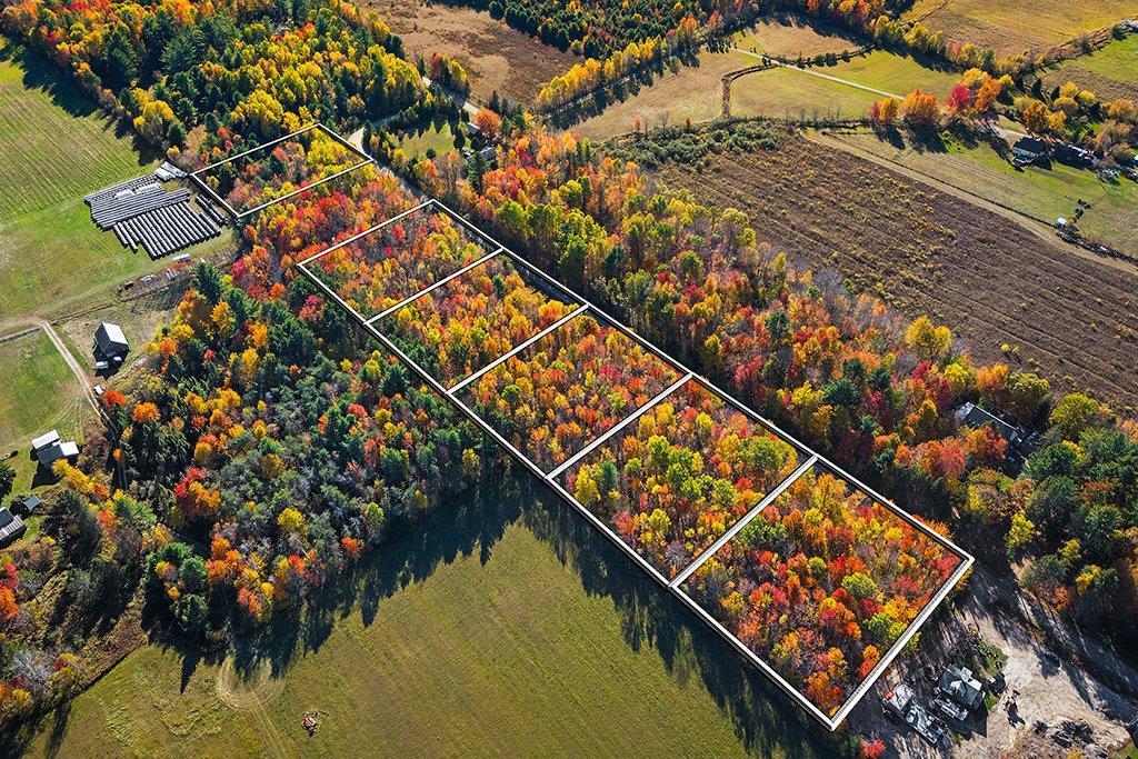 









716


Ch. Robinson

,
Pontiac,







QC
J0X1G0

