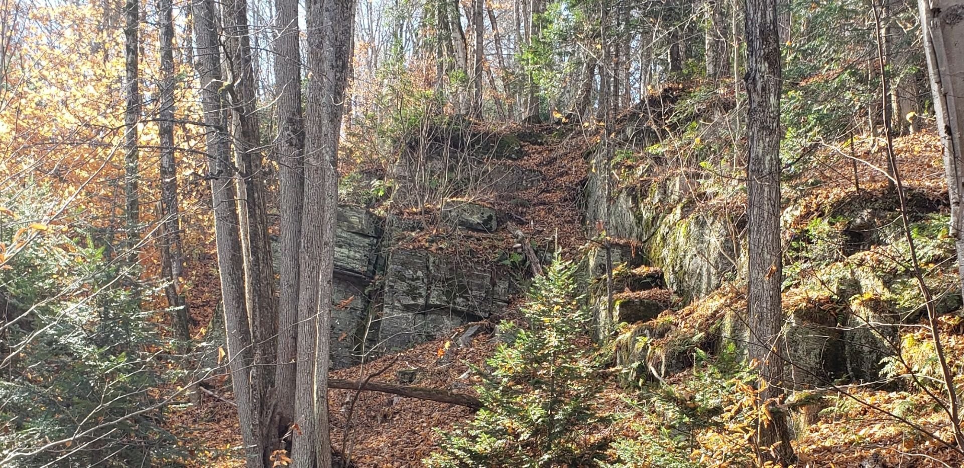 












9e Rang

,
Saint-Côme,







QC
J0K2B0

