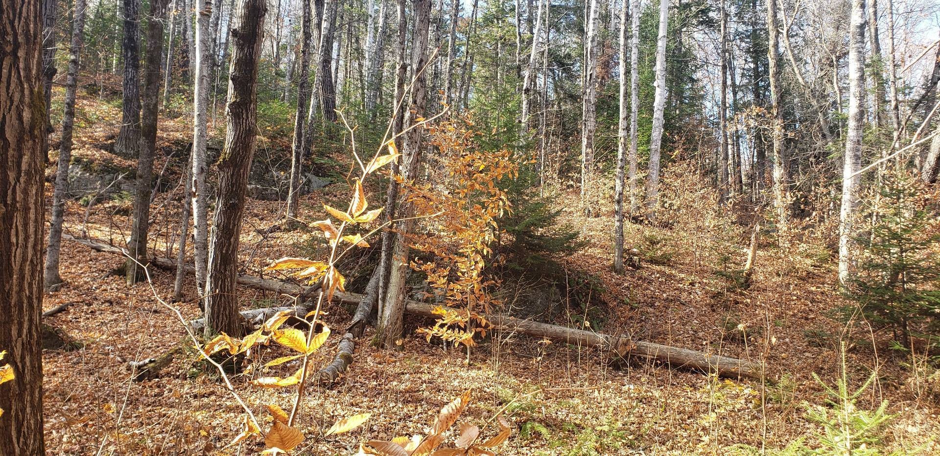 












9e Rang

,
Saint-Côme,







QC
J0K2B0

