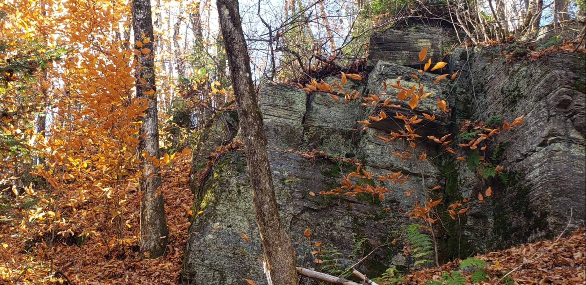 












9e Rang

,
Saint-Côme,







QC
J0K2B0

