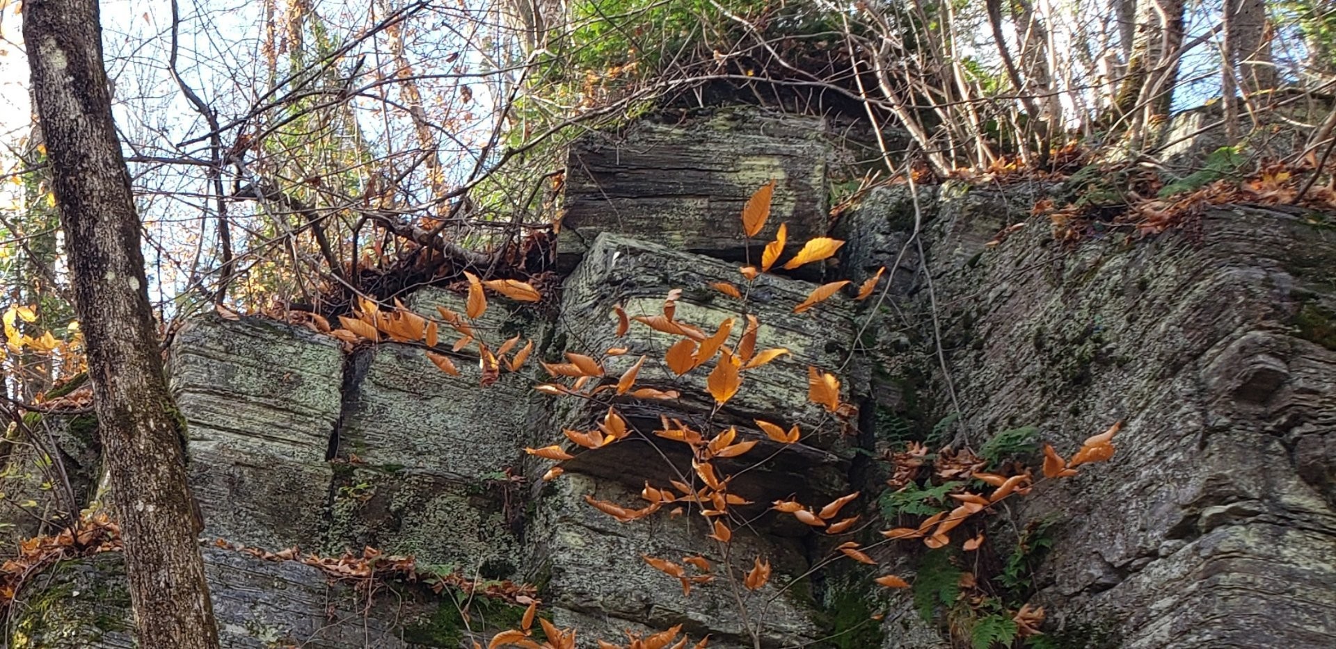 












9e Rang

,
Saint-Côme,







QC
J0K2B0

