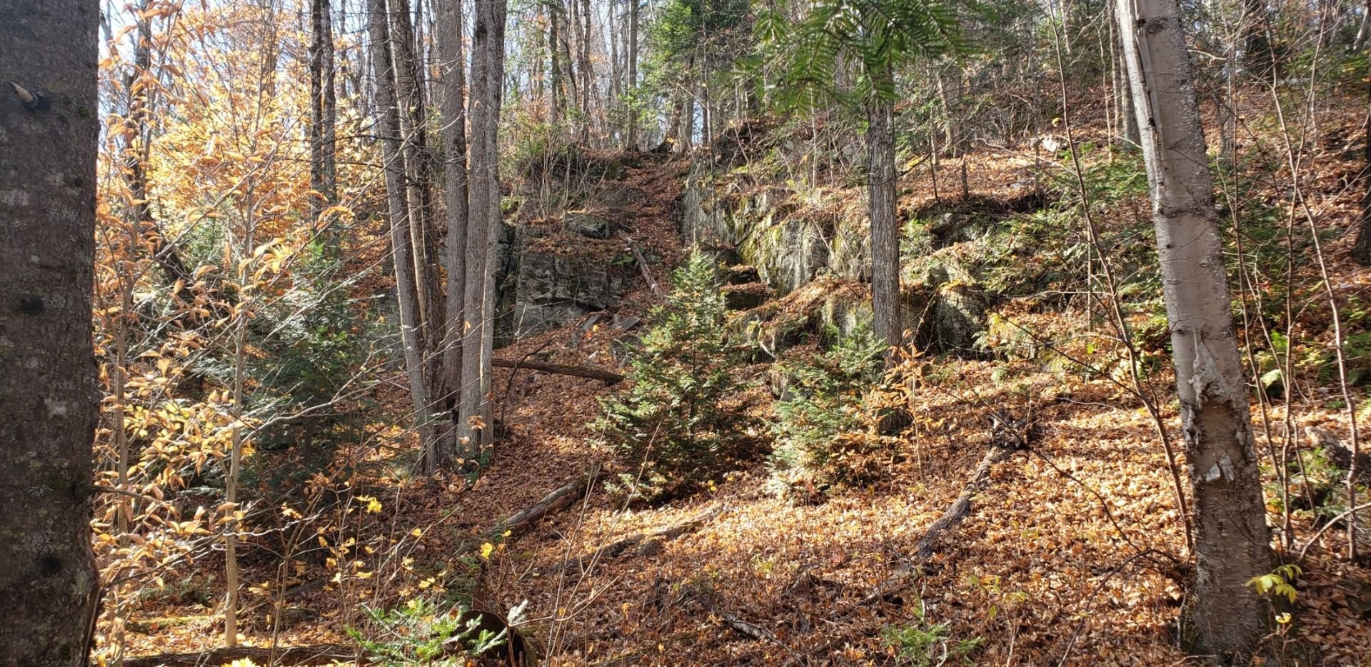 












9e Rang

,
Saint-Côme,







QC
J0K2B0

