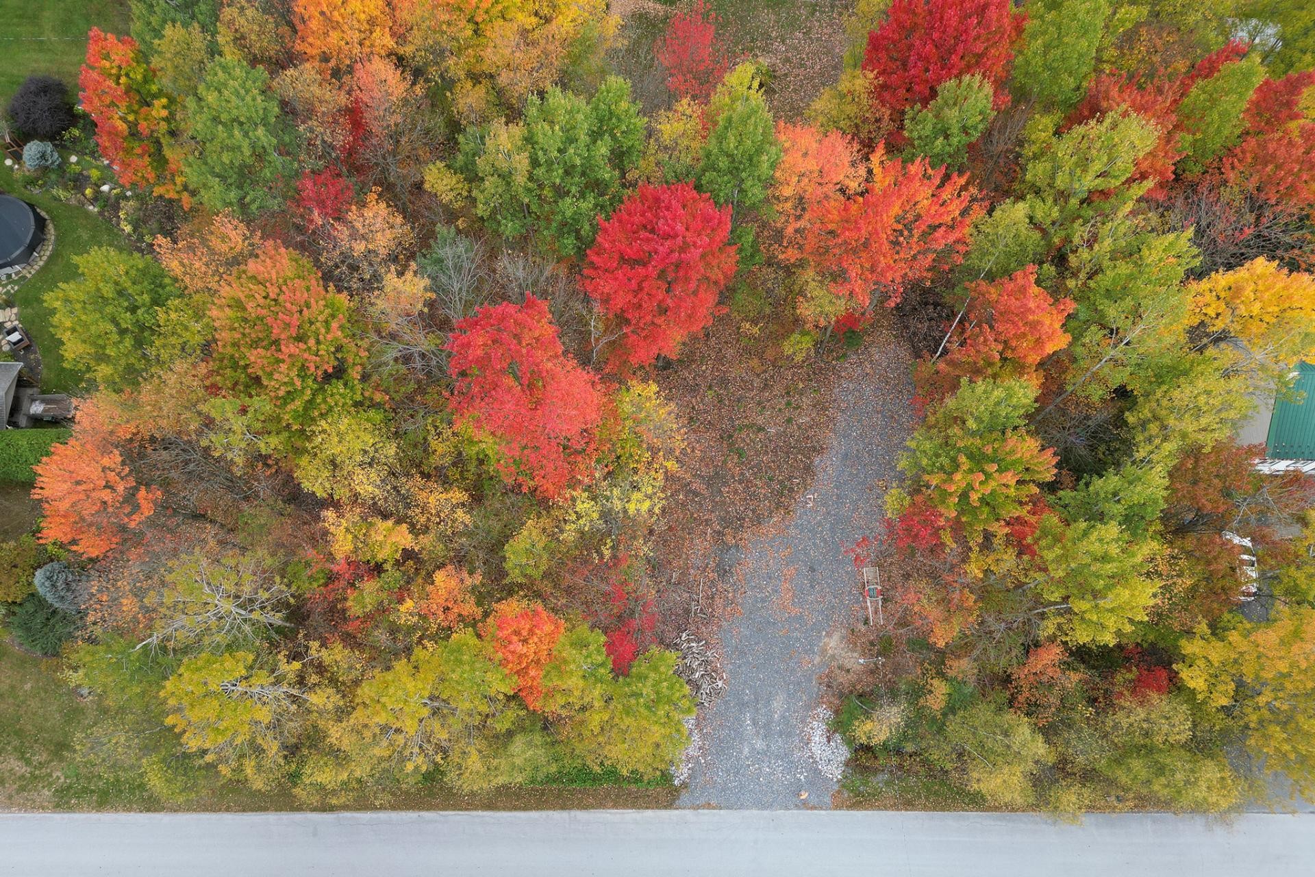 









205


Rue des Pins

,
Sainte-Sabine,







QC
J0J2B0

