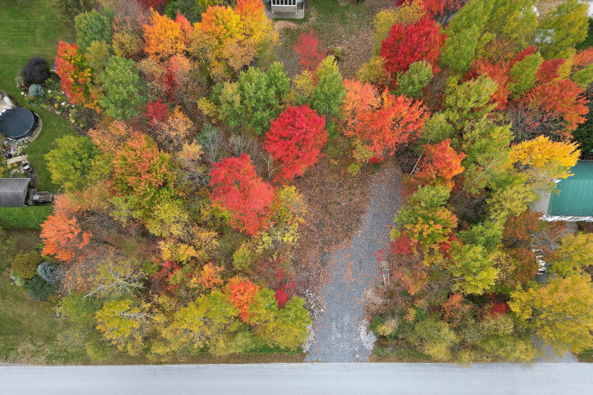 









205


Rue des Pins

,
Sainte-Sabine,







QC
J0J2B0

