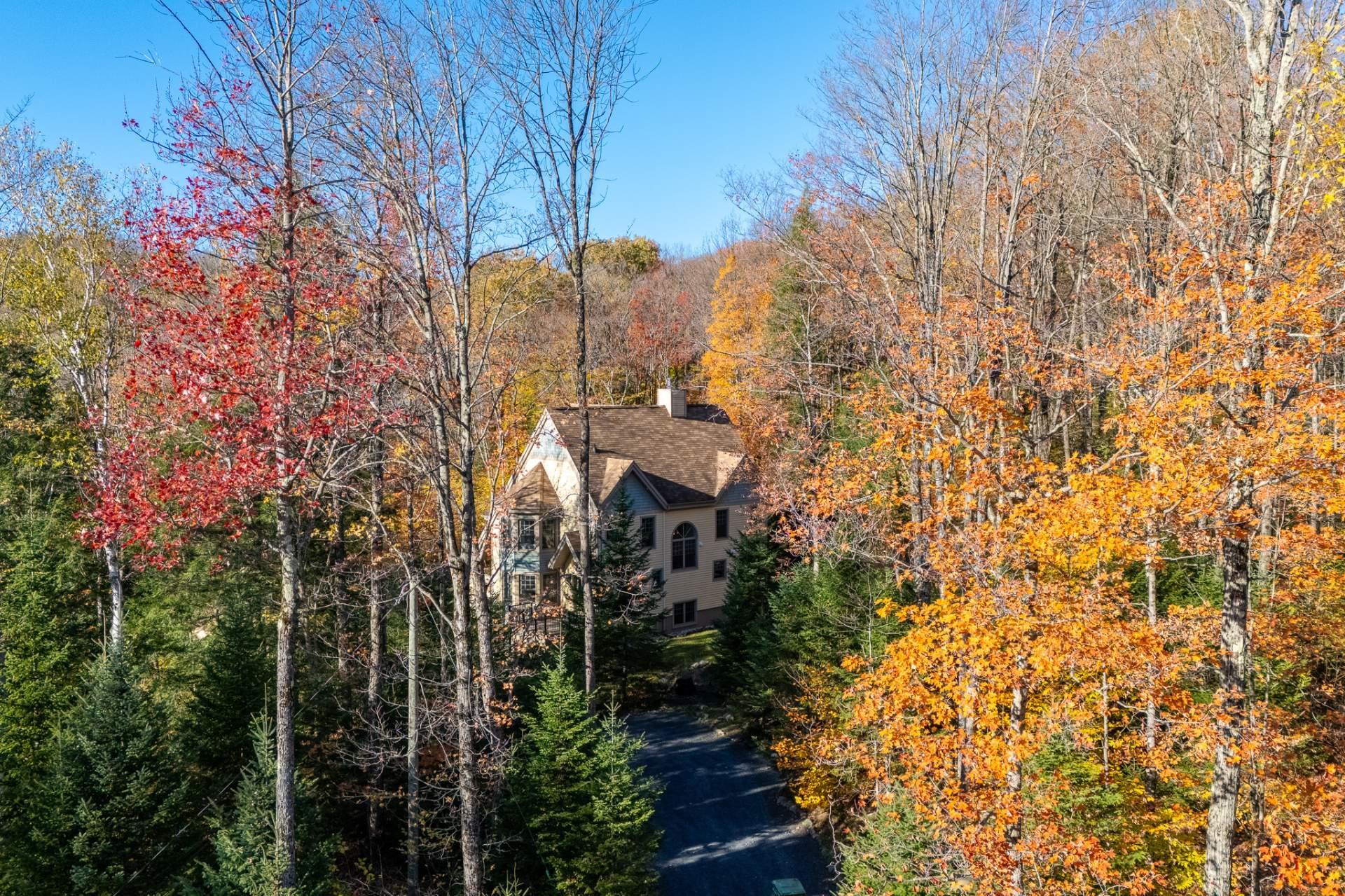 









13


Rue des Amarantes

,
Austin,




QC
J0B1B0

