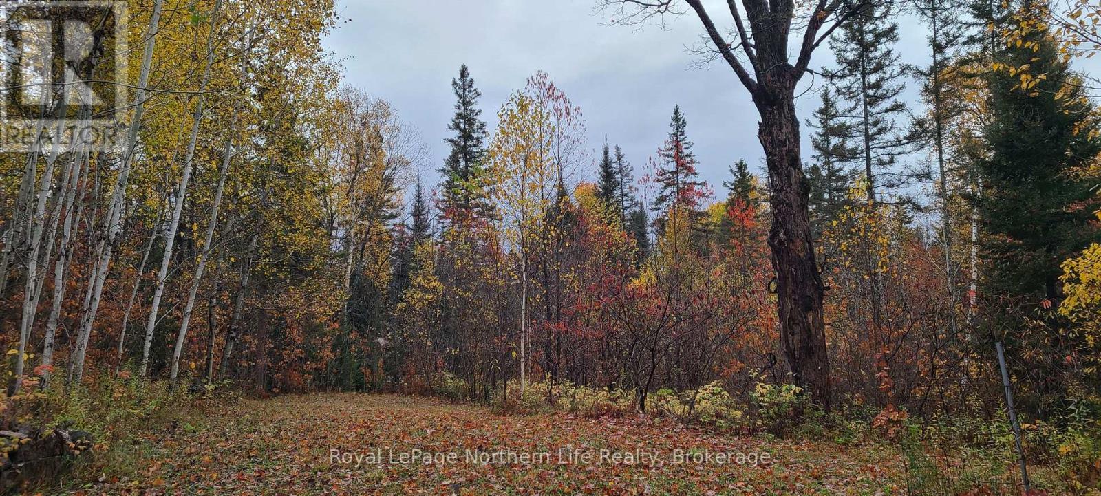 












CHISWICK LINE HIMSWORTH CON 10 PT LOT 5 LINE

,
Powassan,







Ontario
P0H1Z0

