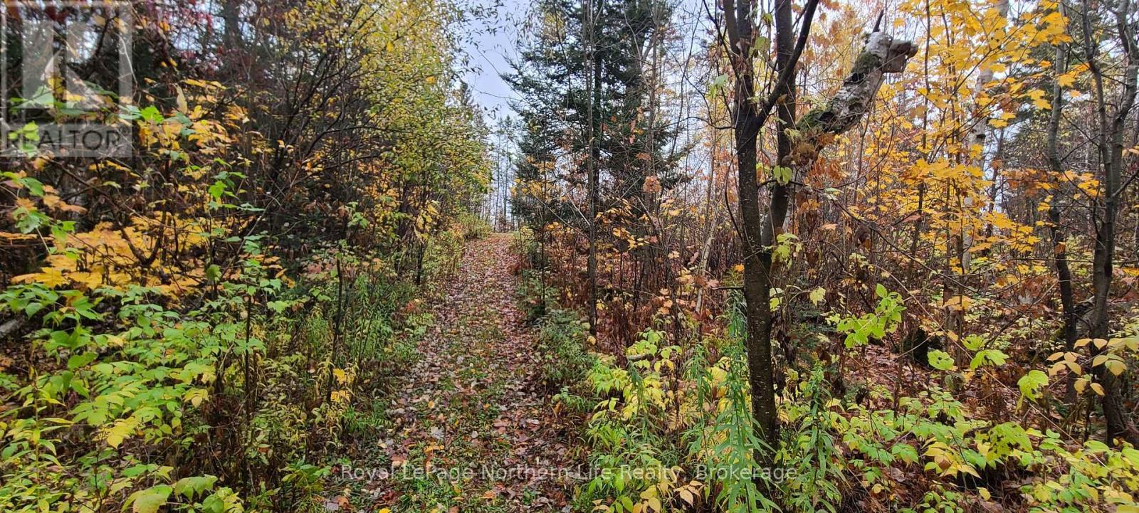 












CHISWICK LINE HIMSWORTH CON 10 PT LOT 5 LINE

,
Powassan,







Ontario
P0H1Z0

