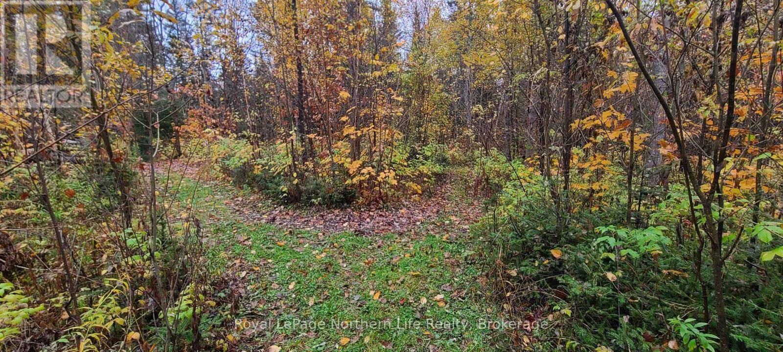 












CHISWICK LINE HIMSWORTH CON 10 PT LOT 5 LINE

,
Powassan,







Ontario
P0H1Z0

