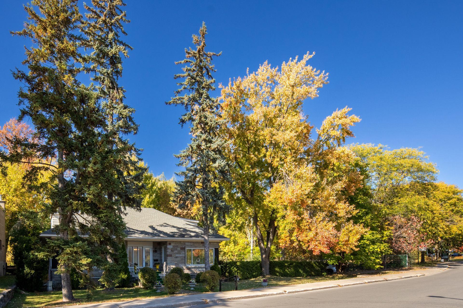 









5315


Boul. Gouin O.

,
Montréal (Ahuntsic-Cartierville),




QC
H4J1C6


