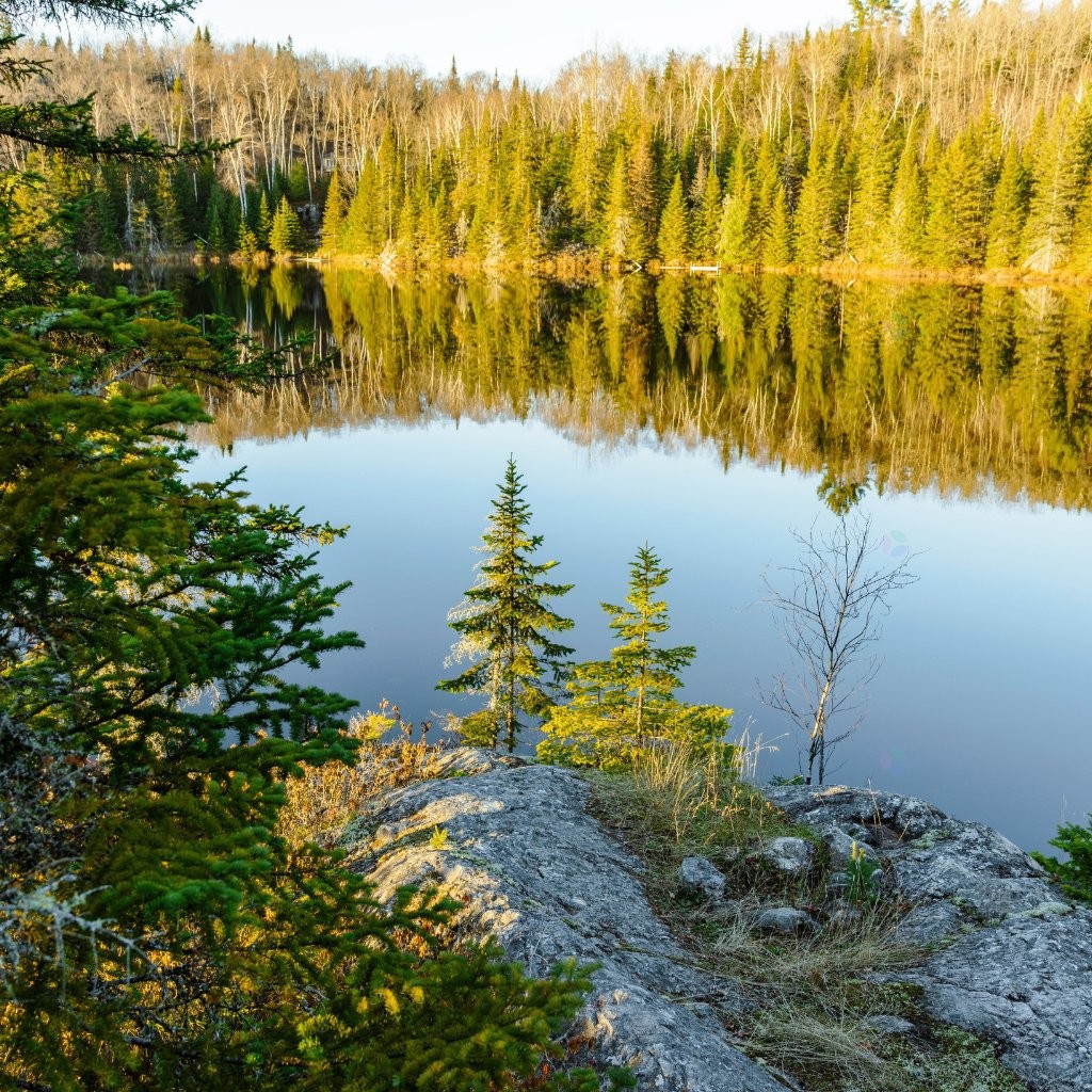 












3e avenue St-Vincent

,
Sainte-Béatrix,







QC
J0K1Y0

