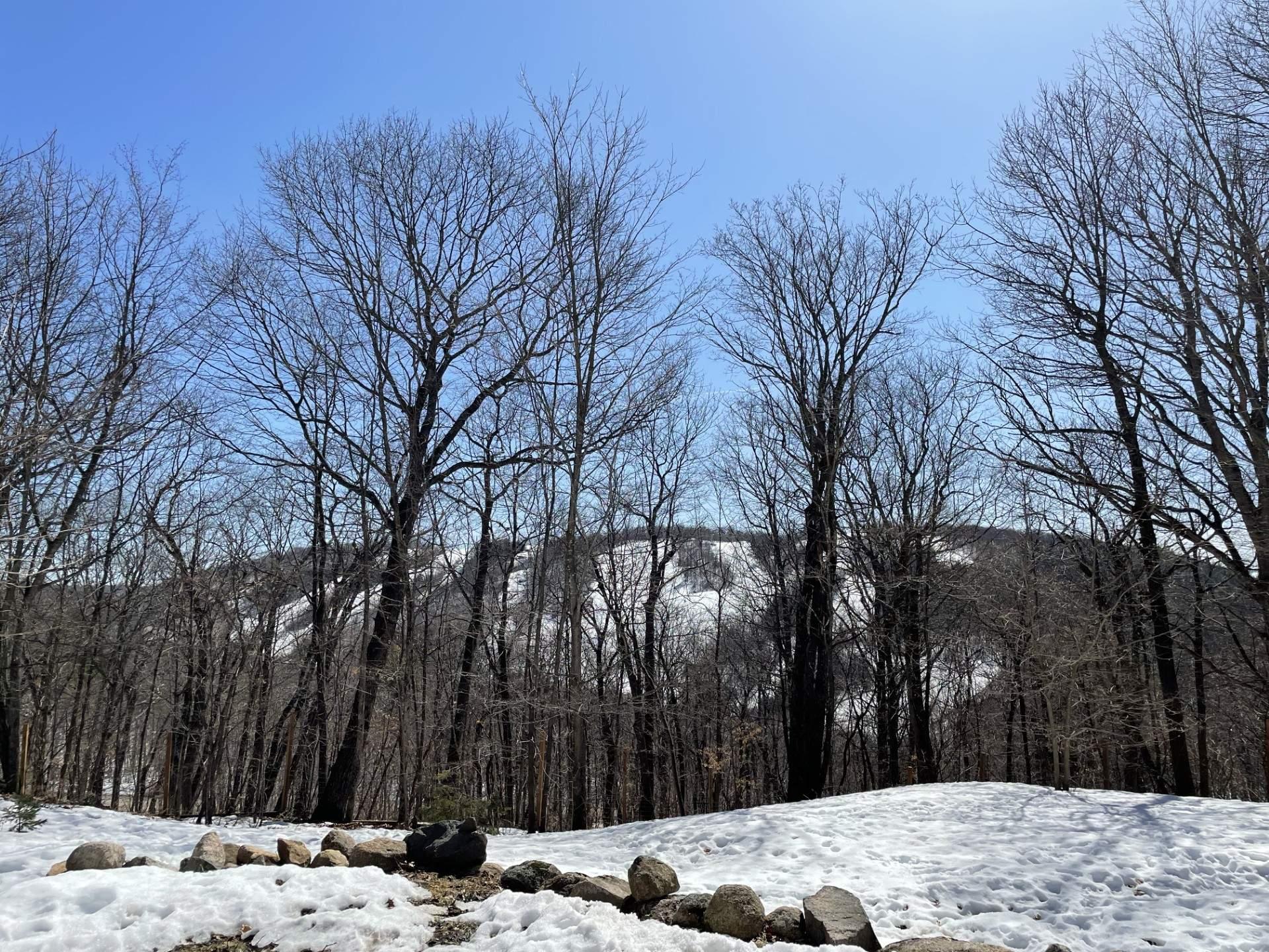 









17


Rue Alta Ridge

,
Cantley,




QC
J8V3B2

