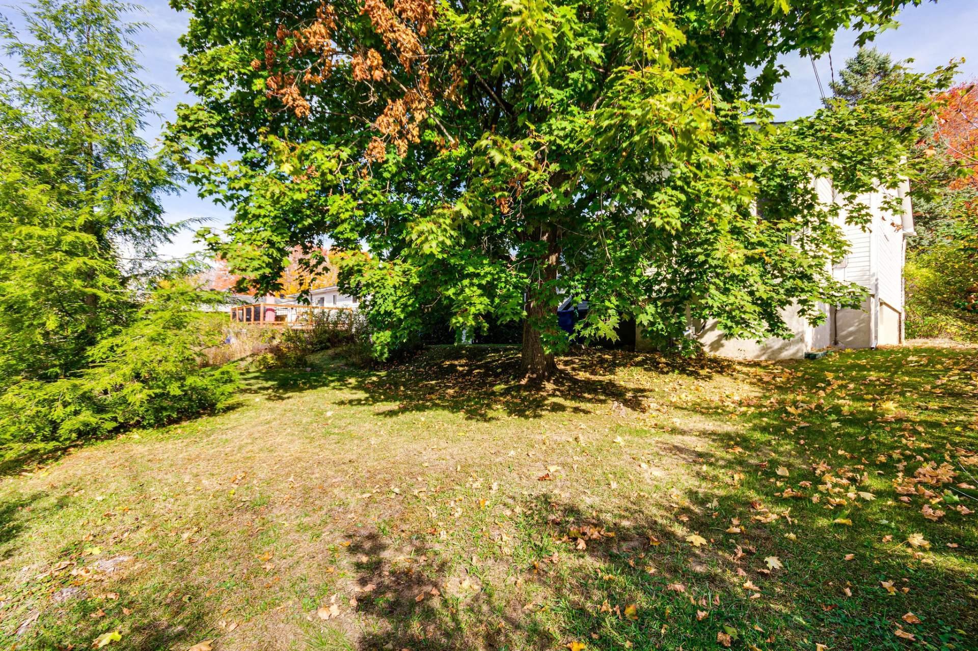 









372


Rue James-Martin

,
Gatineau (Buckingham),




QC
J8L3C6

