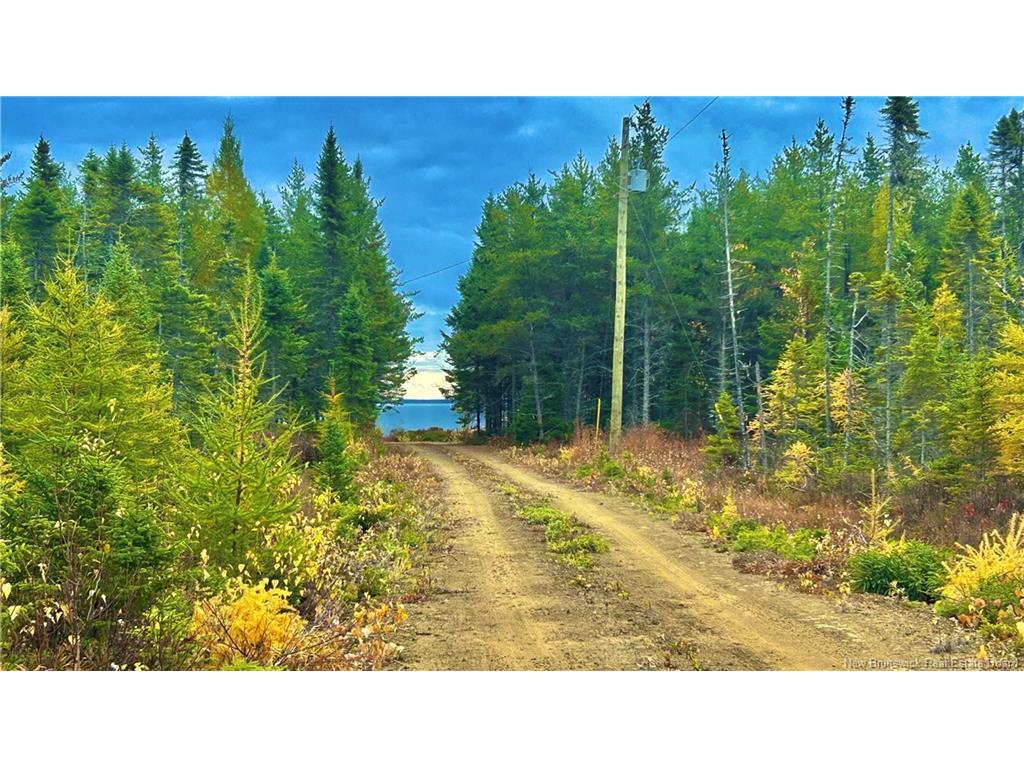 









140


Grand Dune

RD,
Barryville,




NB
E9G 4H6

