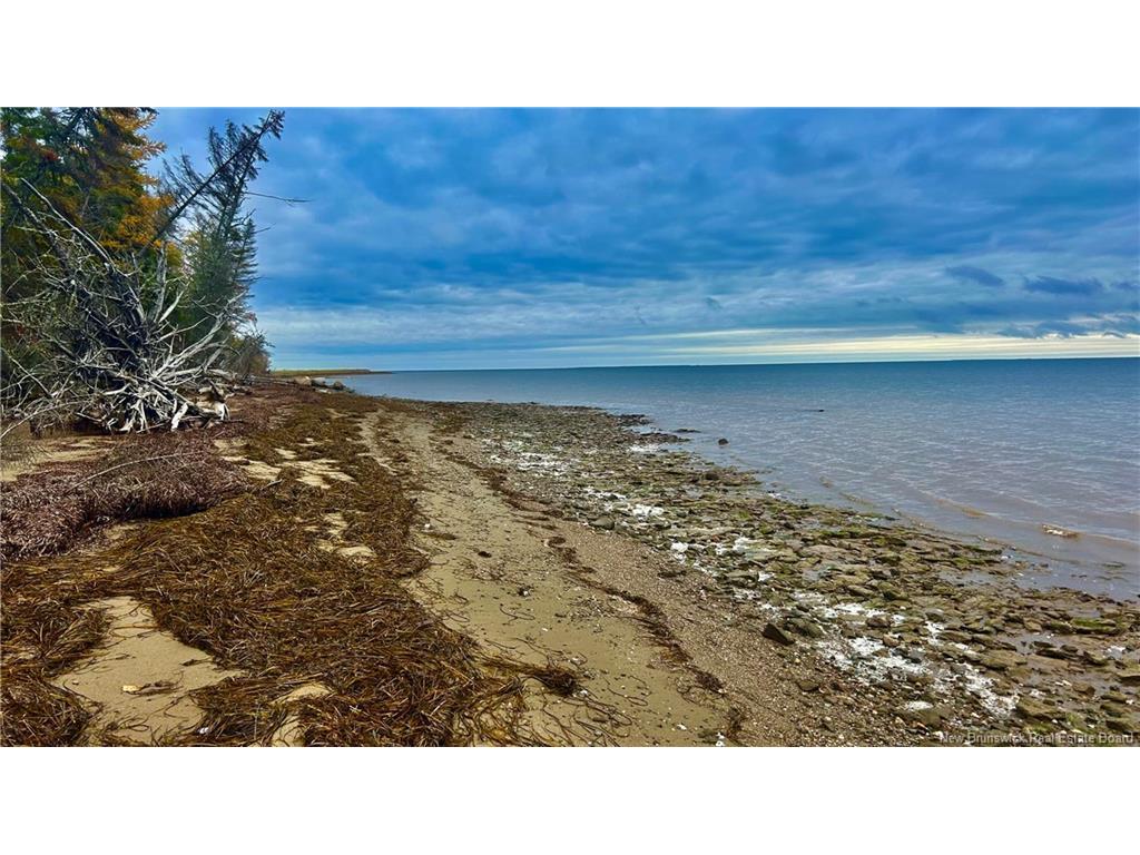 









140


Grand Dune

RD,
Barryville,




NB
E9G 4H6

