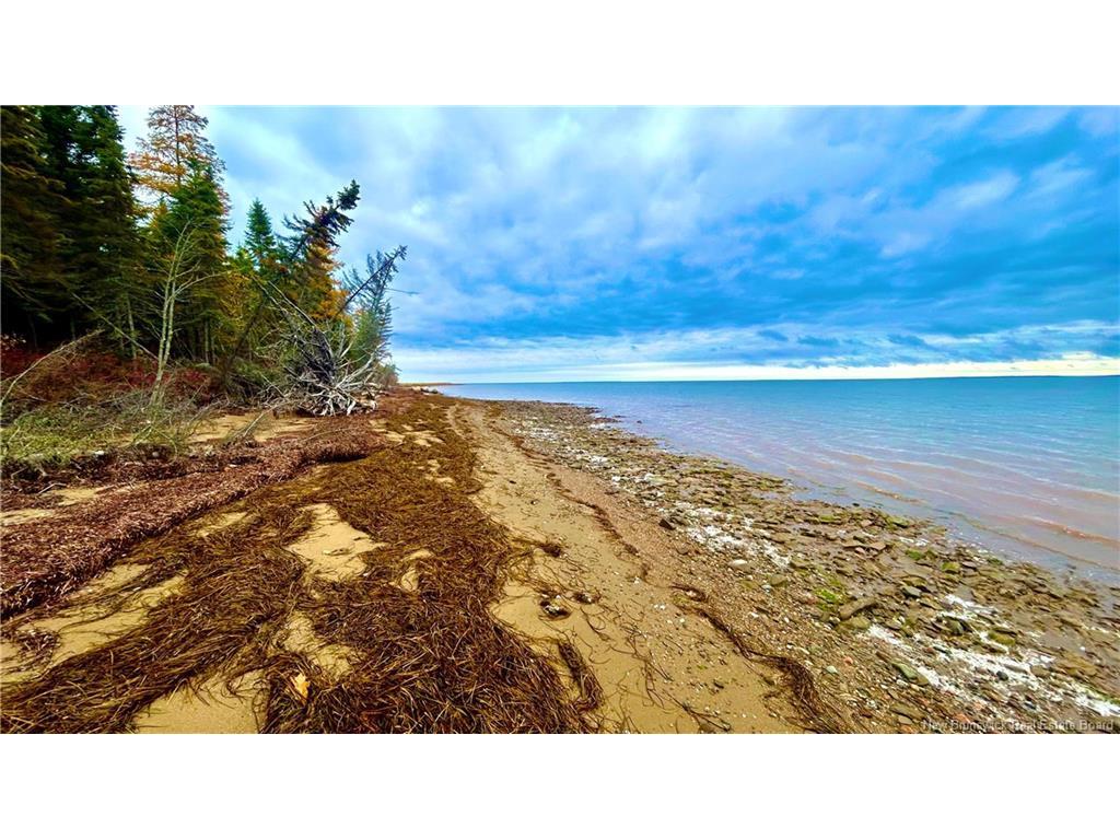 









140


Grand Dune

RD,
Barryville,




NB
E9G 4H6


