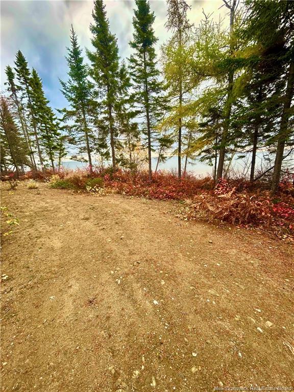 









140


Grand Dune

RD,
Barryville,




NB
E9G 4H6

