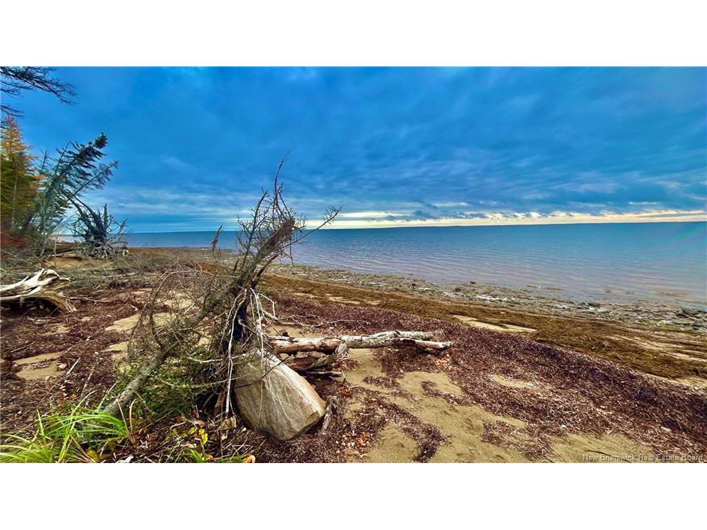 









140


Grand Dune

RD,
Barryville,




NB
E9G 4H6

