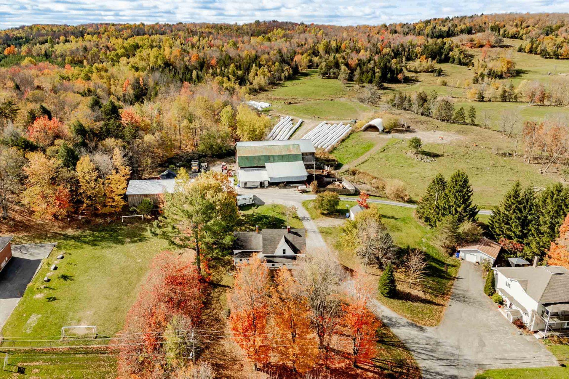 









1455


Ch. Favreau

,
Sainte-Edwidge-de-Clifton,




QC
J0B2R0

