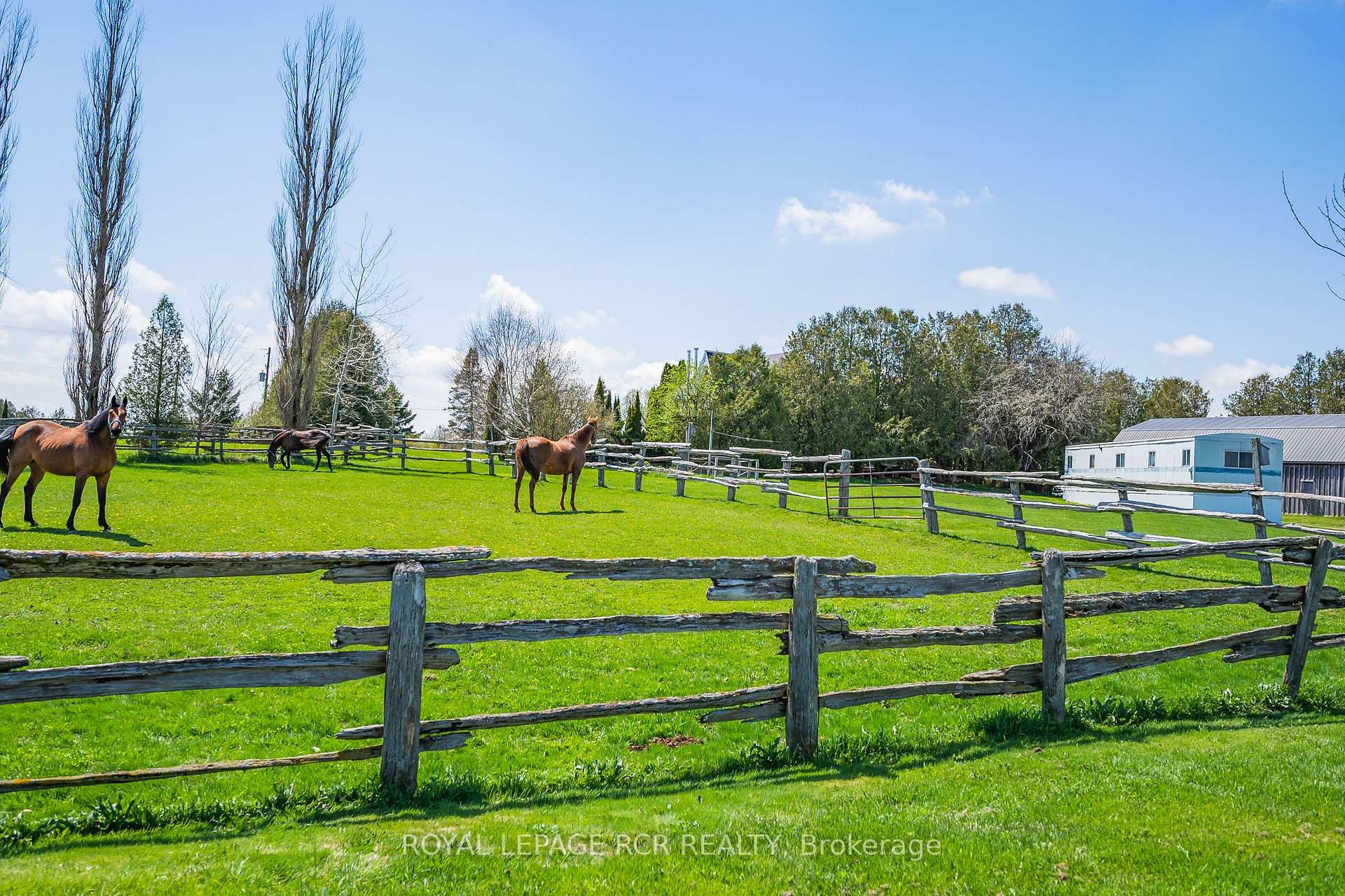 









071533


10th

Line,
East Garafraxa,







ON
L9W 7A1

