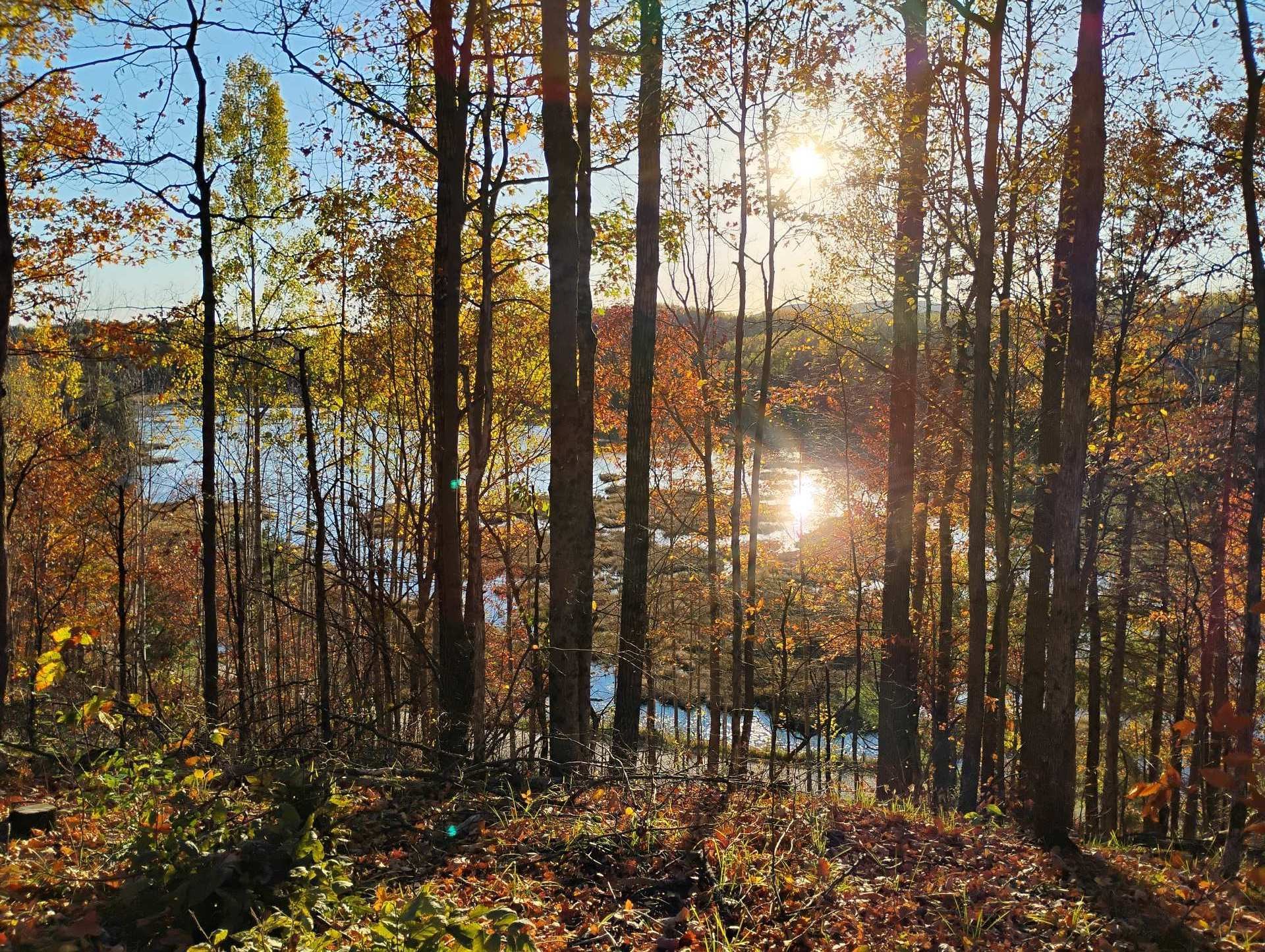 












Ch. de Cawood

,
Alleyn-et-Cawood,







QC
J0X1P0

