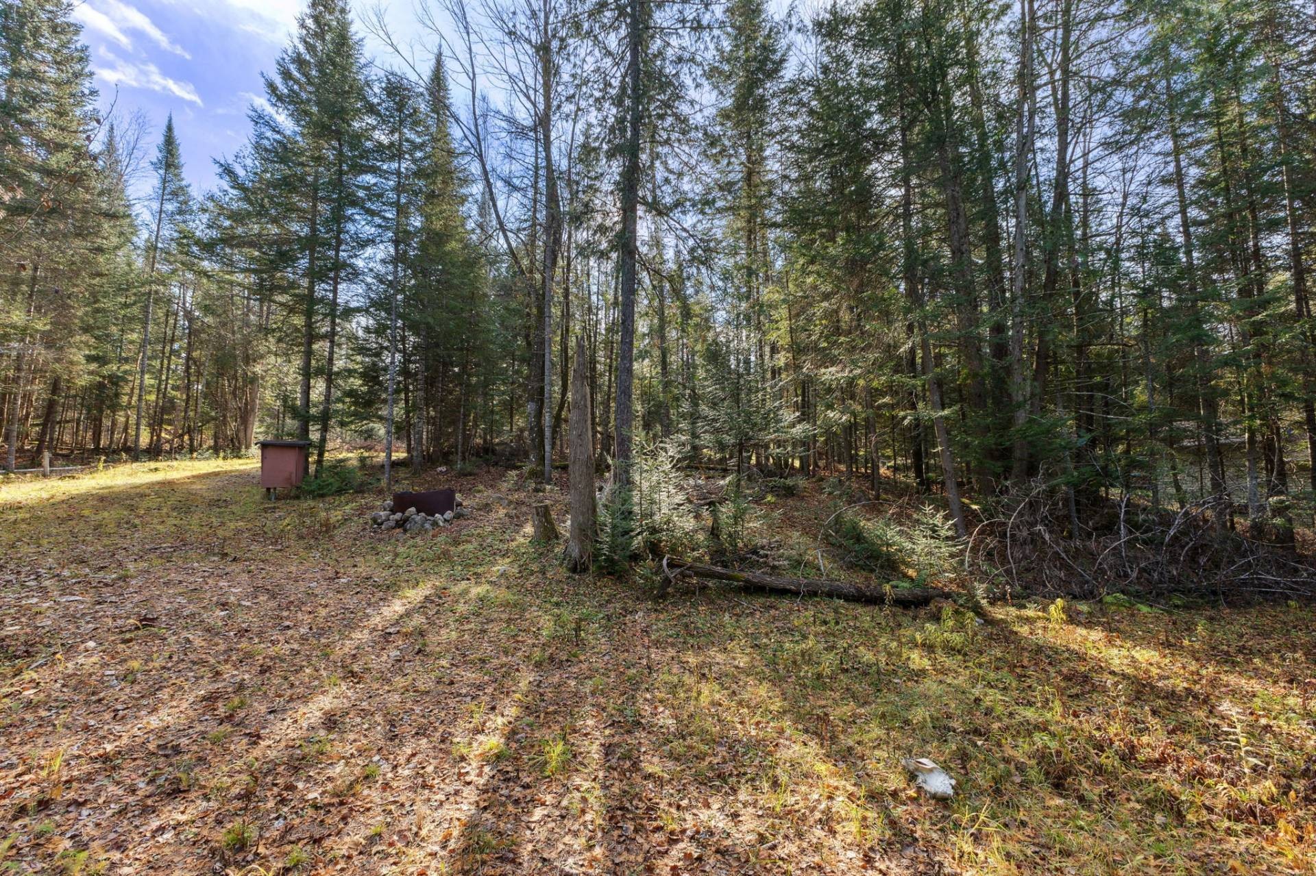 









771


Ch. Caron

,
Notre-Dame-de-Pontmain,







QC
J0W1S0

