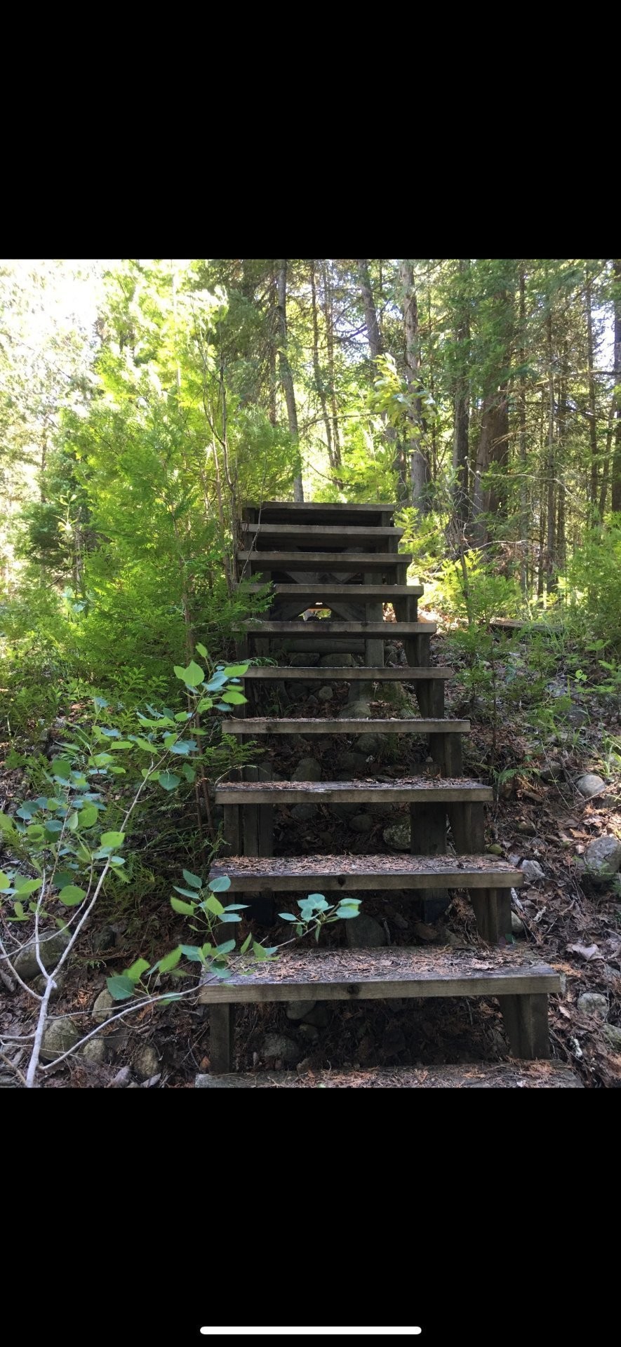 









771


Ch. Caron

,
Notre-Dame-de-Pontmain,







QC
J0W1S0

