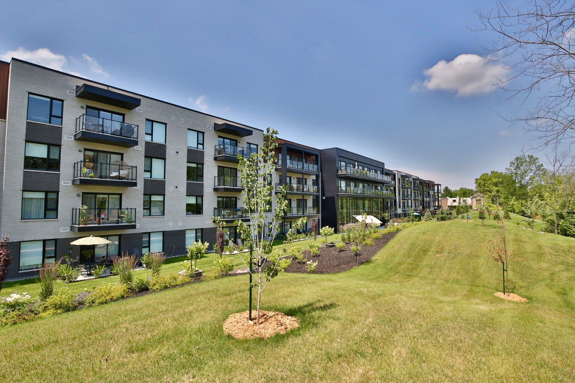 









2000


Rue Benoit

, 101,
Saint-Bruno-de-Montarville,




QC
J3V6N5

