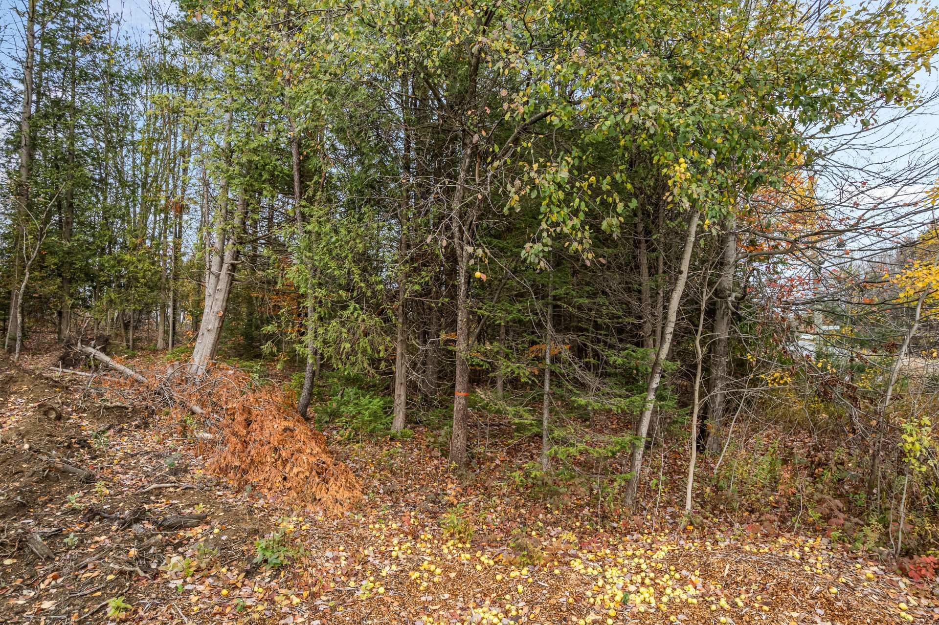 












Ch. Southière

,
Magog,







QC
J1X0V7

