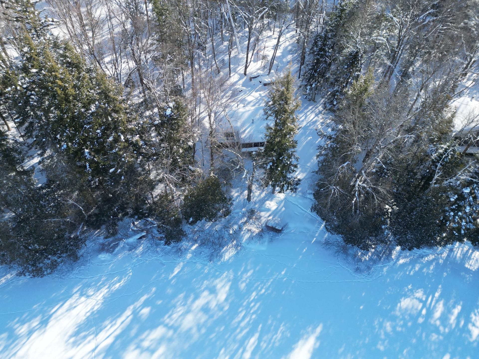 









105


Ch. des Geais-Bleus

,
Nominingue,




QC
J0W1R0

