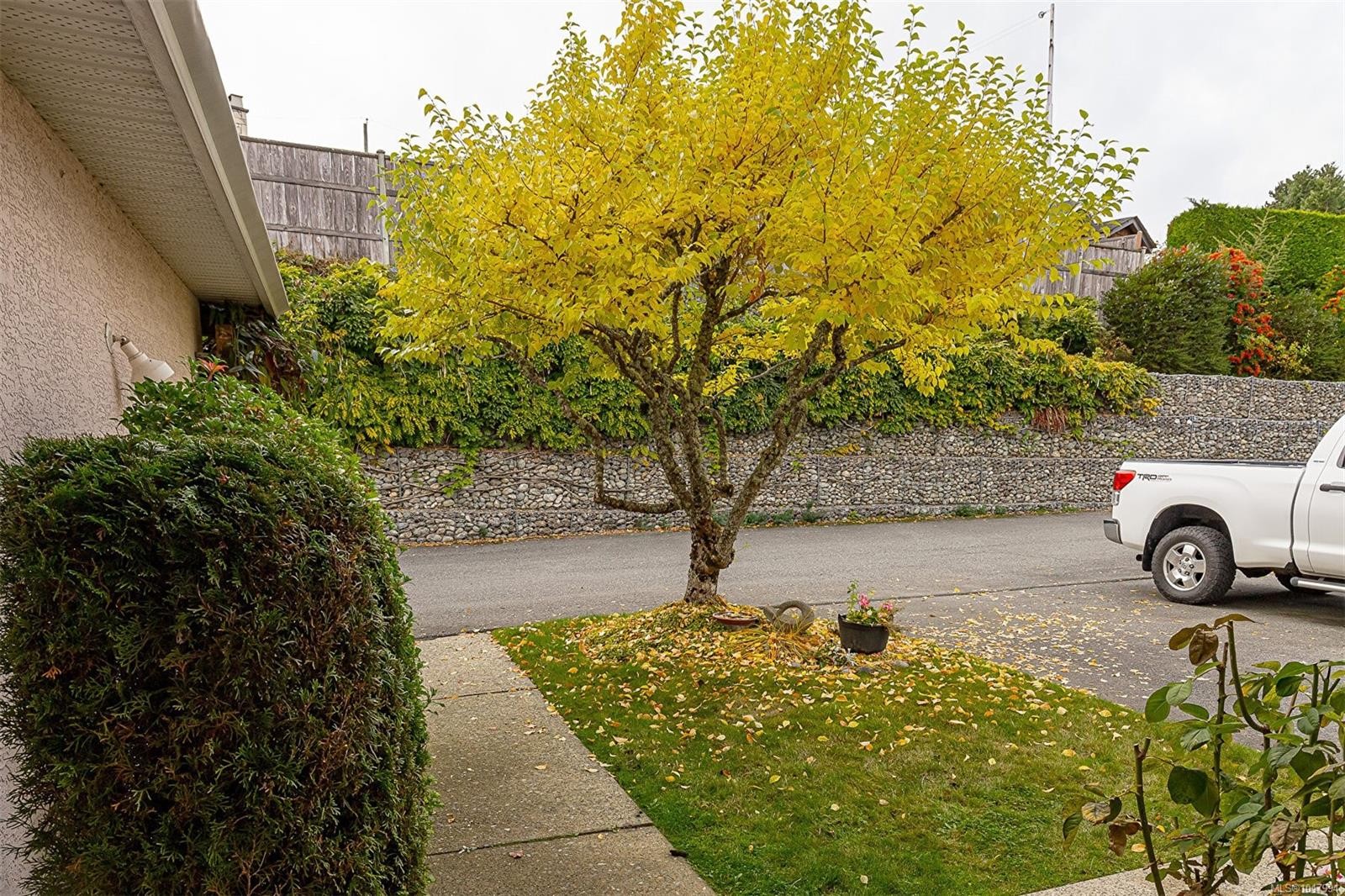 









100


Gifford

Rd, 44,
Ladysmith,




BC
V9G 1A1

