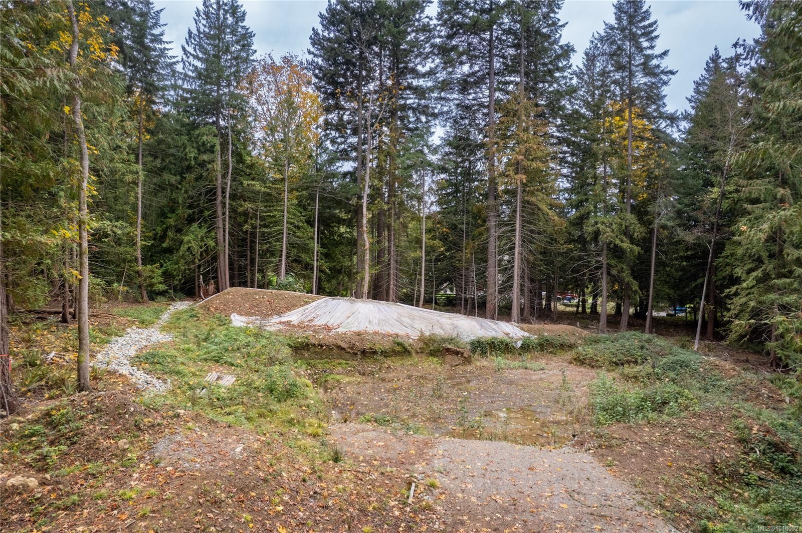 









2322


Ashlee

Rd,
Nanaimo,







BC
V9R 6T3

