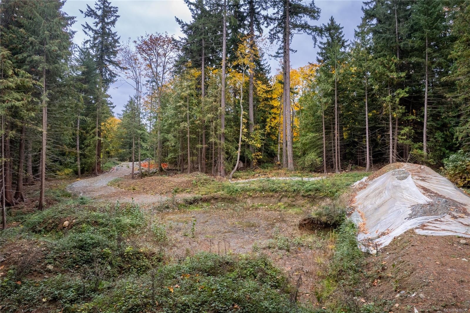 









2322


Ashlee

Rd,
Nanaimo,







BC
V9R 6T3

