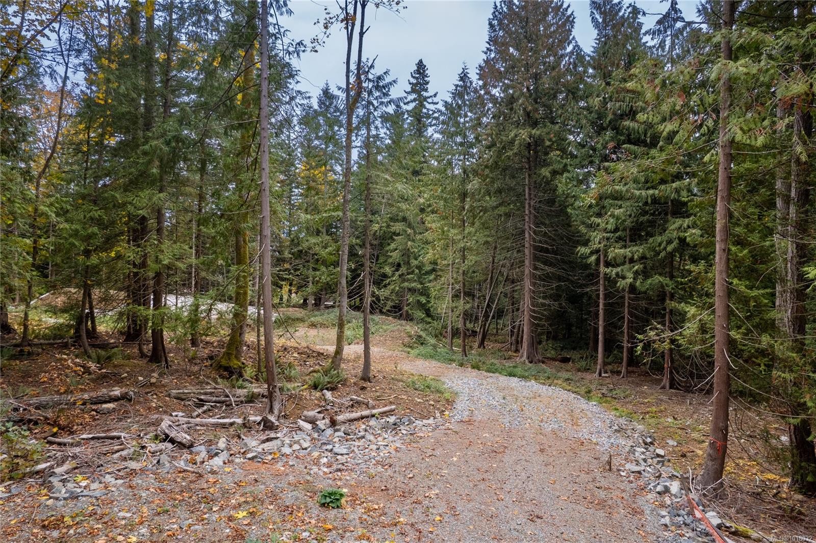 









2322


Ashlee

Rd,
Nanaimo,







BC
V9R 6T3

