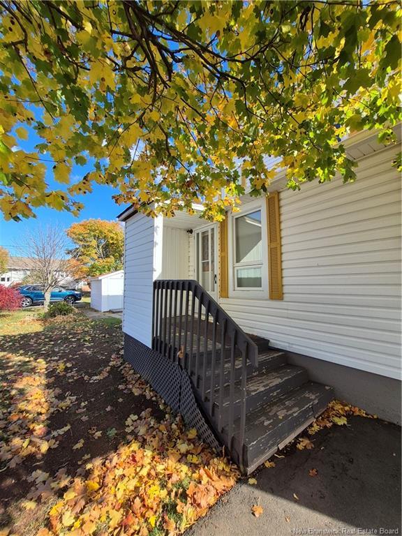 









294


J.D Gauthier

BLVD,
Shippagan,




NB
E8S 1R4

