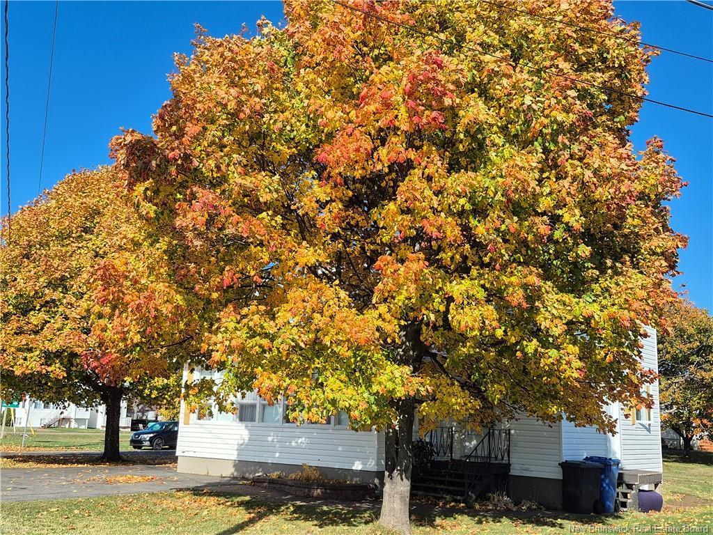 









294


J.D Gauthier

BLVD,
Shippagan,




NB
E8S 1R4


