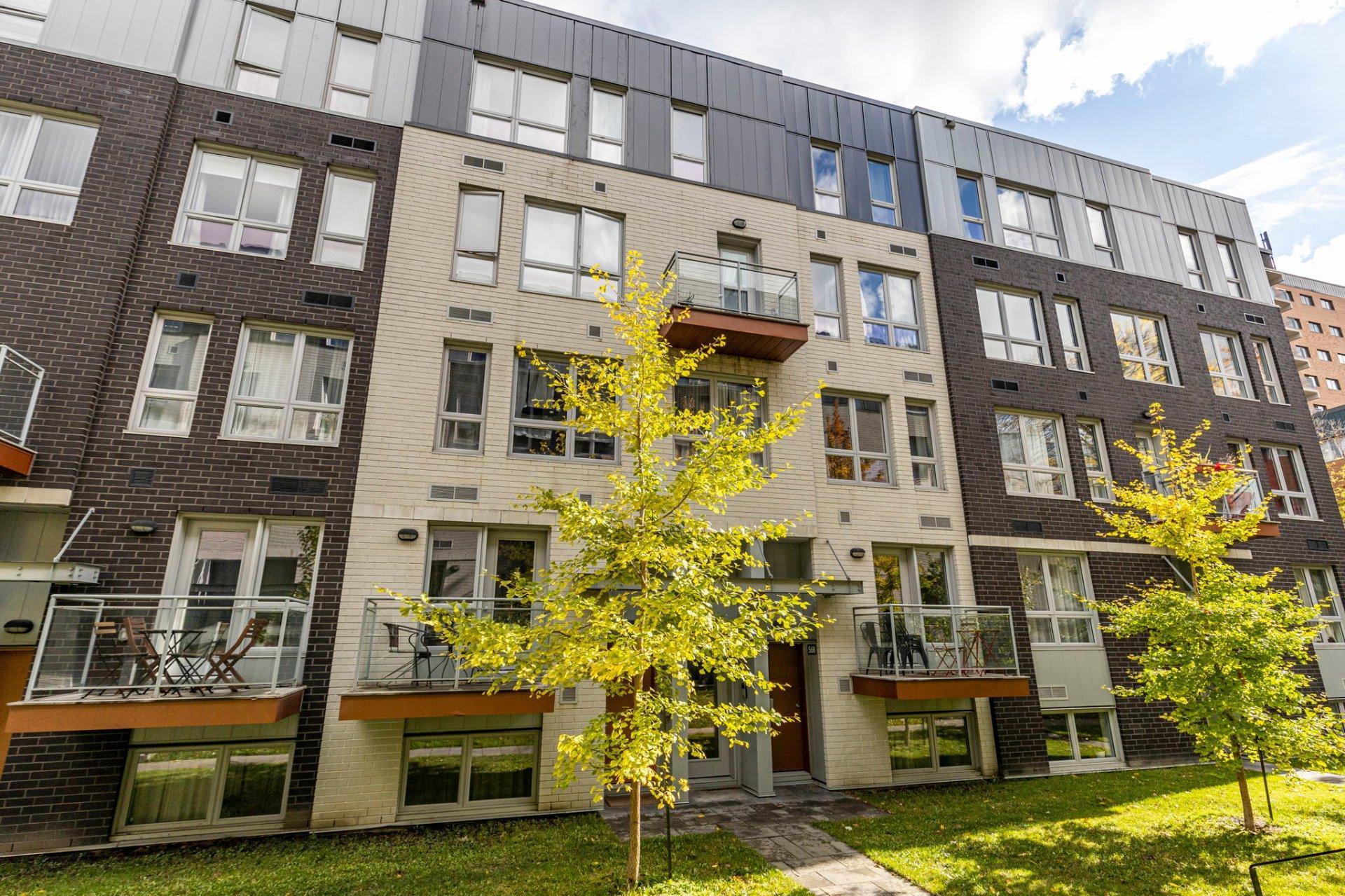 









564


Rue Nicolet

,
Montréal (Mercier/Hochelaga-Maisonneuve),




QC
H1W0C2

