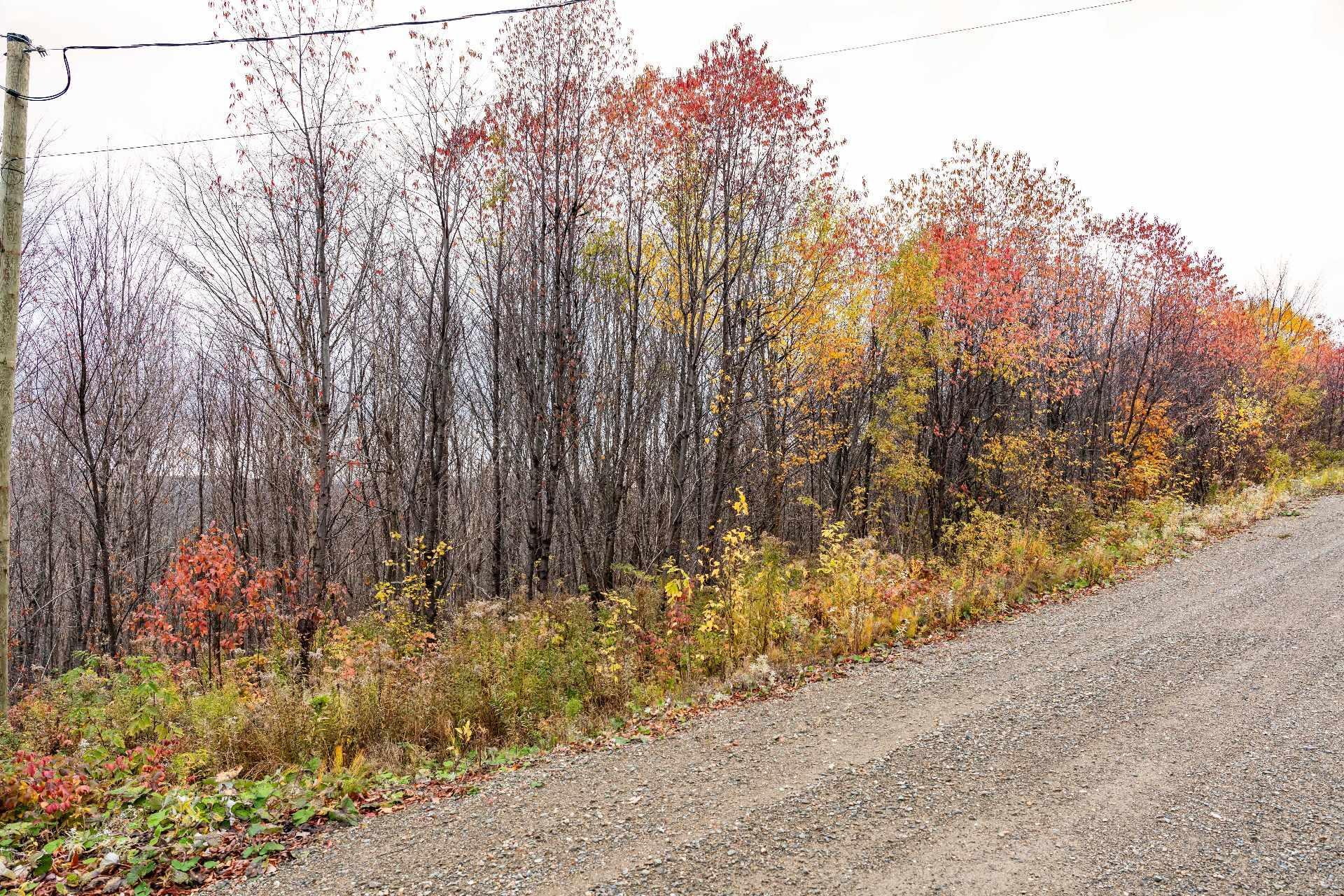 









16


Ch. des Outardes

,
Notre-Dame-des-Bois,







QC
J0B2E0

