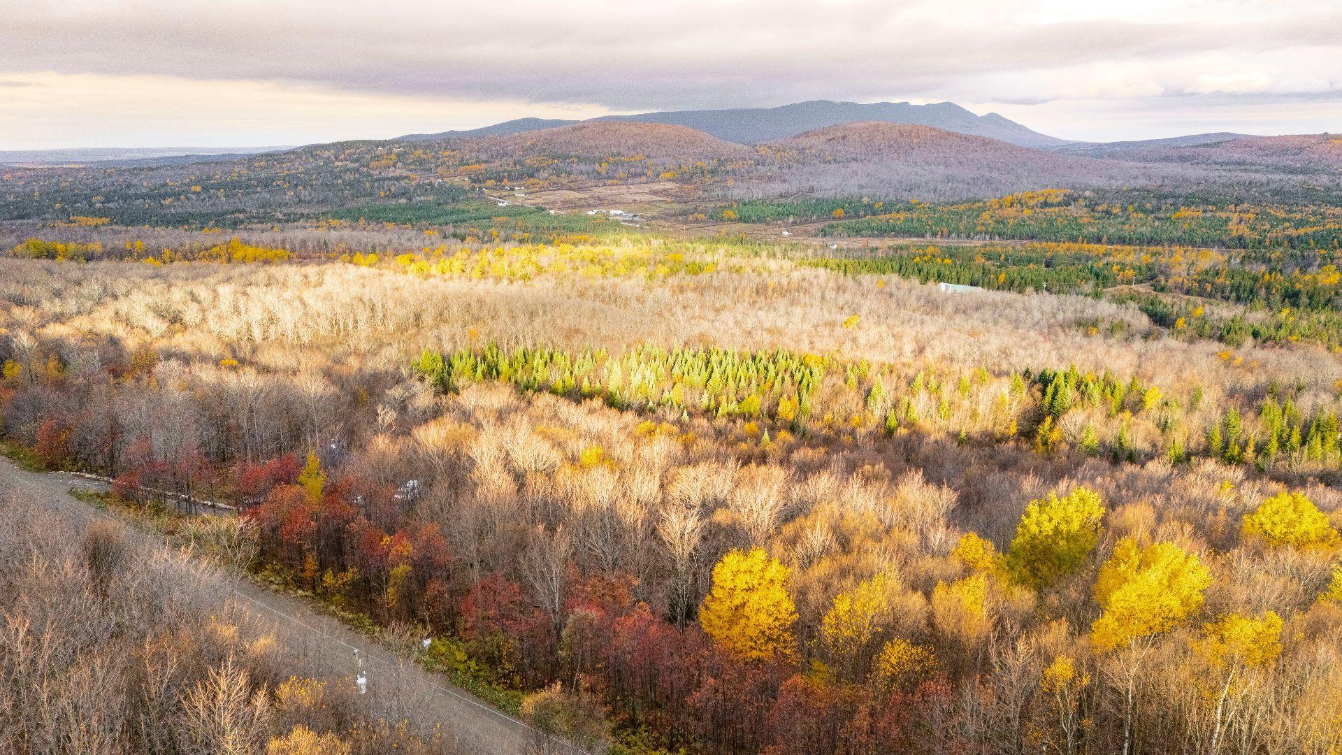 









16


Ch. des Outardes

,
Notre-Dame-des-Bois,







QC
J0B2E0

