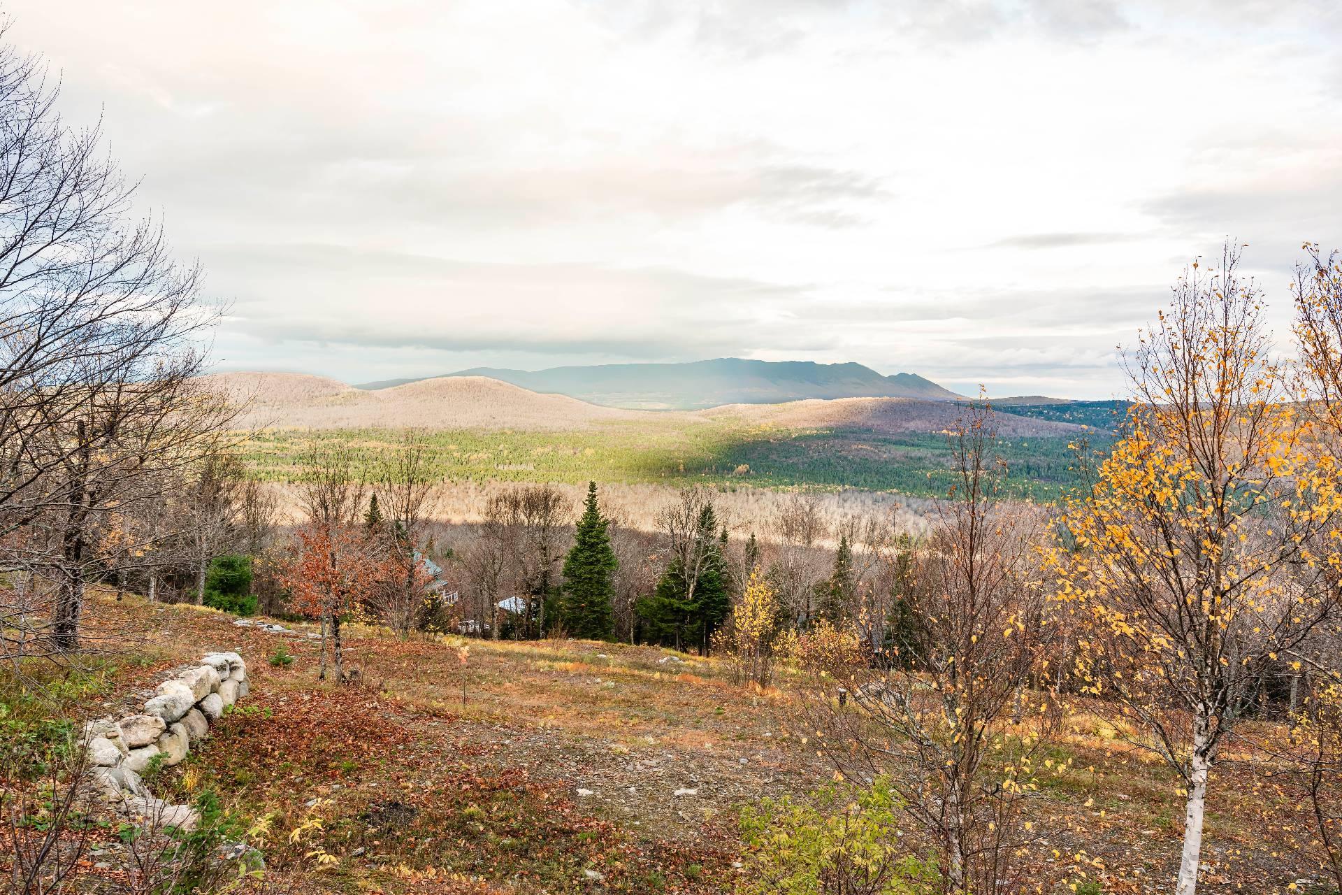 












Ch. du Sommet

,
Notre-Dame-des-Bois,







QC
J0B2E0

