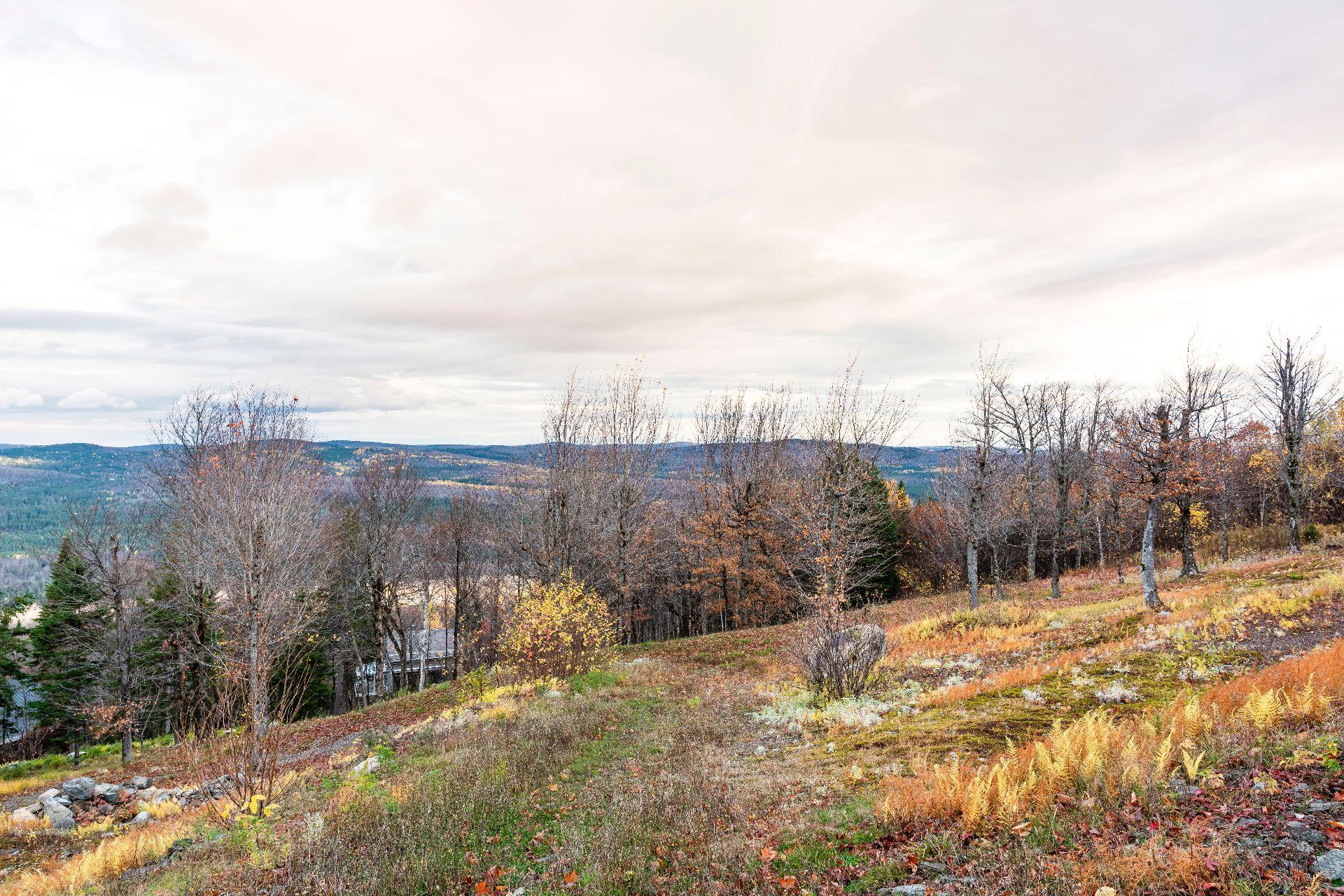 












Ch. du Sommet

,
Notre-Dame-des-Bois,







QC
J0B2E0

