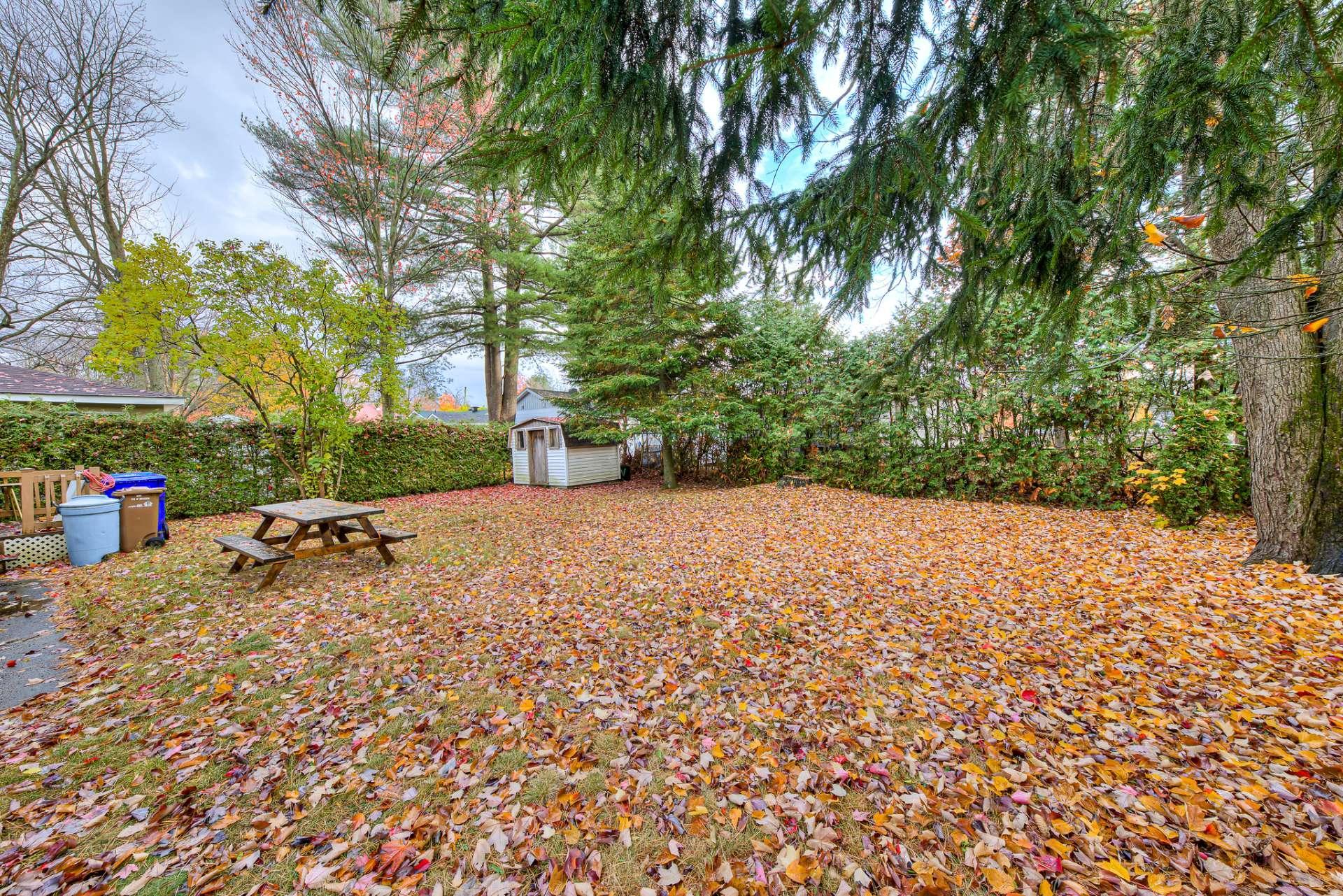 









14620


Rue Gilbert

,
Mirabel,




QC
J7N1Y5


